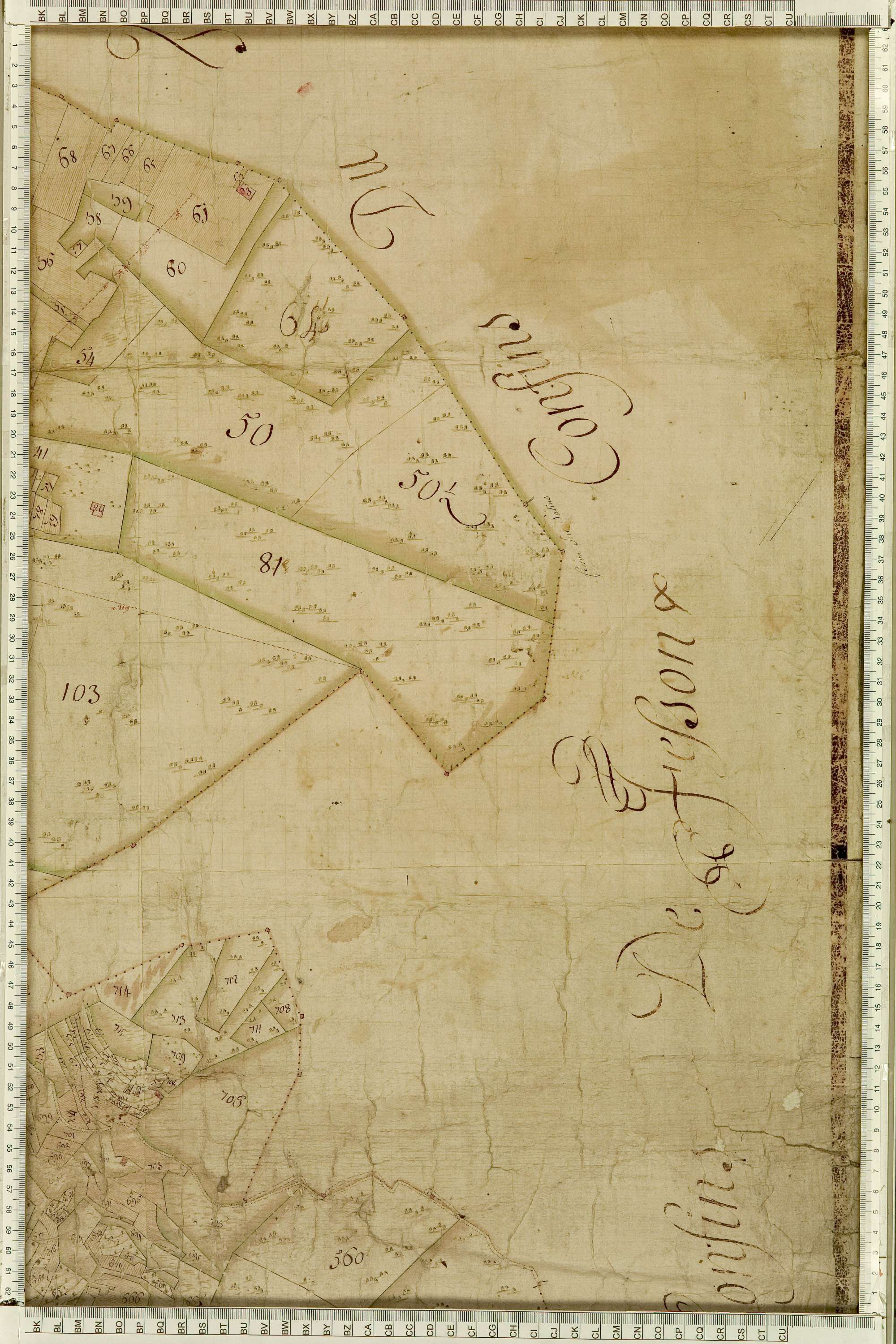 Salins-les-Thermes - Copie de la mappe originale (plan cadastral) de la commune de Salins. Signée Cocelli, directeur de la péréquation générale.