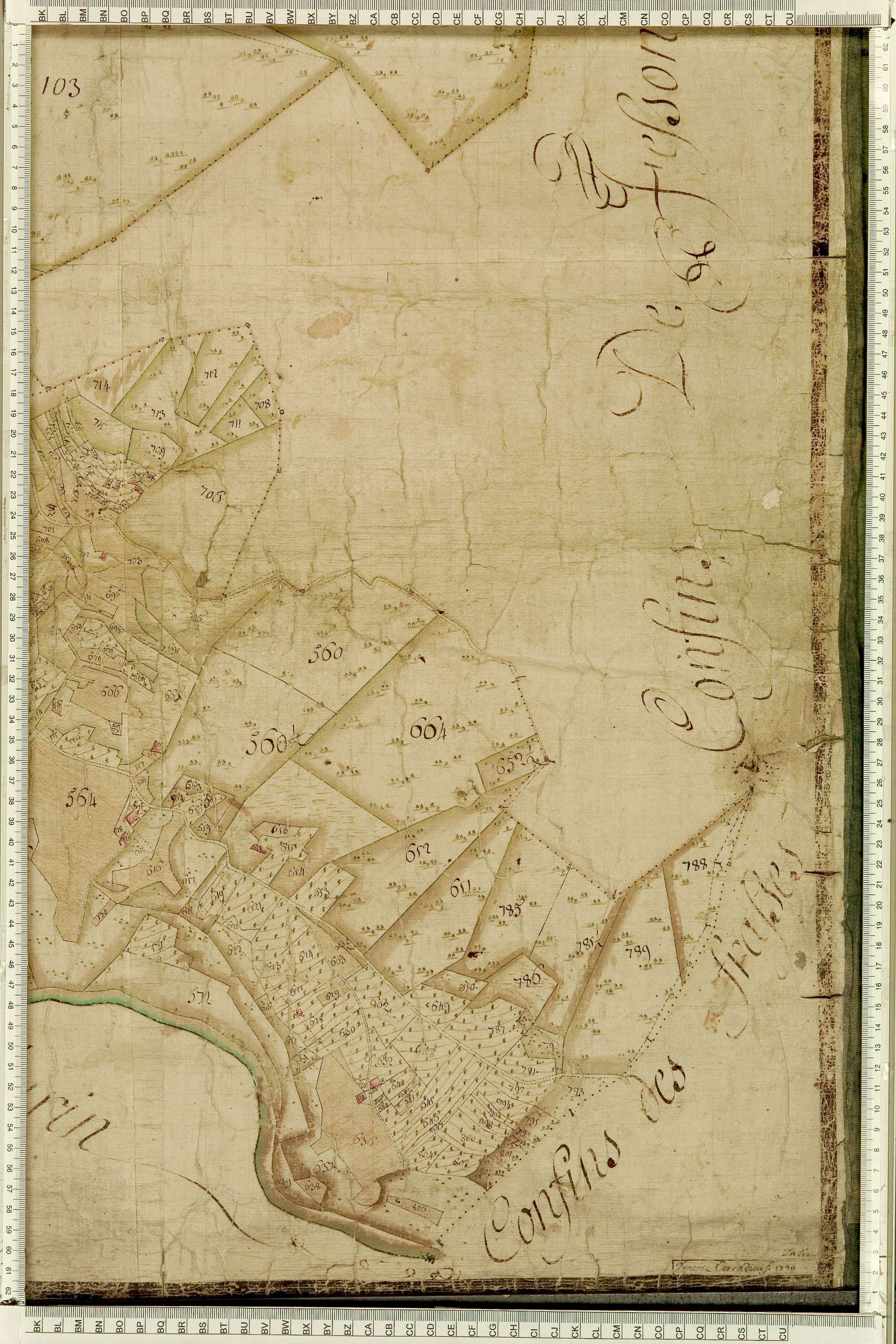 Salins-les-Thermes - Copie de la mappe originale (plan cadastral) de la commune de Salins. Signée Cocelli, directeur de la péréquation générale.