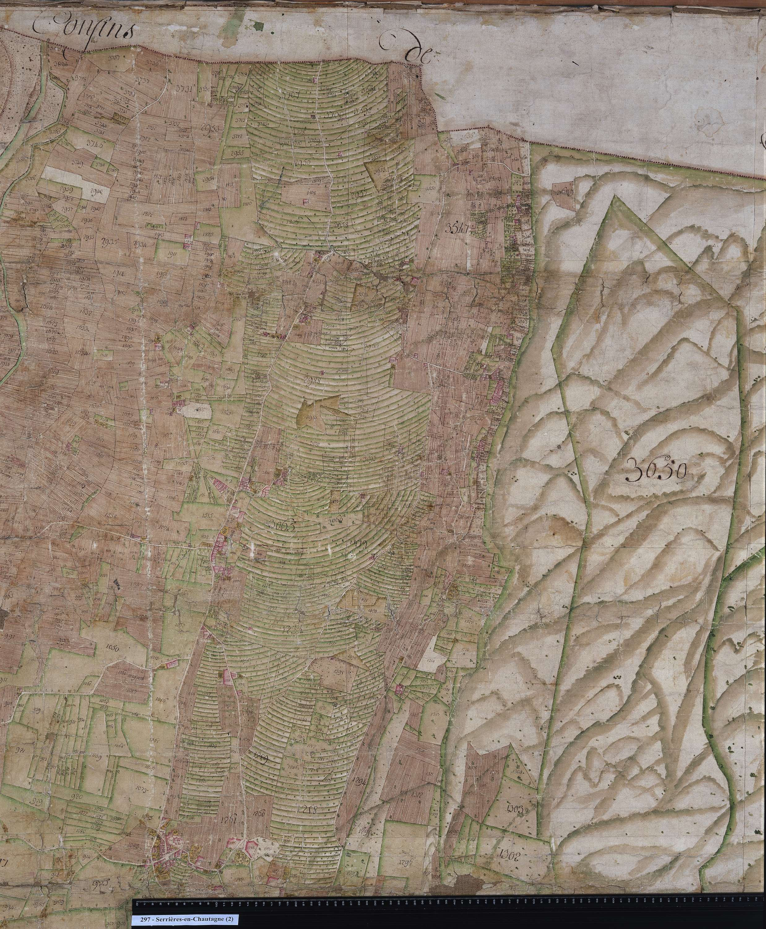 Serrières-en-Chautagne - Copie de la mappe originale (plan cadastral) de la commune de Serrières. Signée Cocelli, directeur de la péréquation.