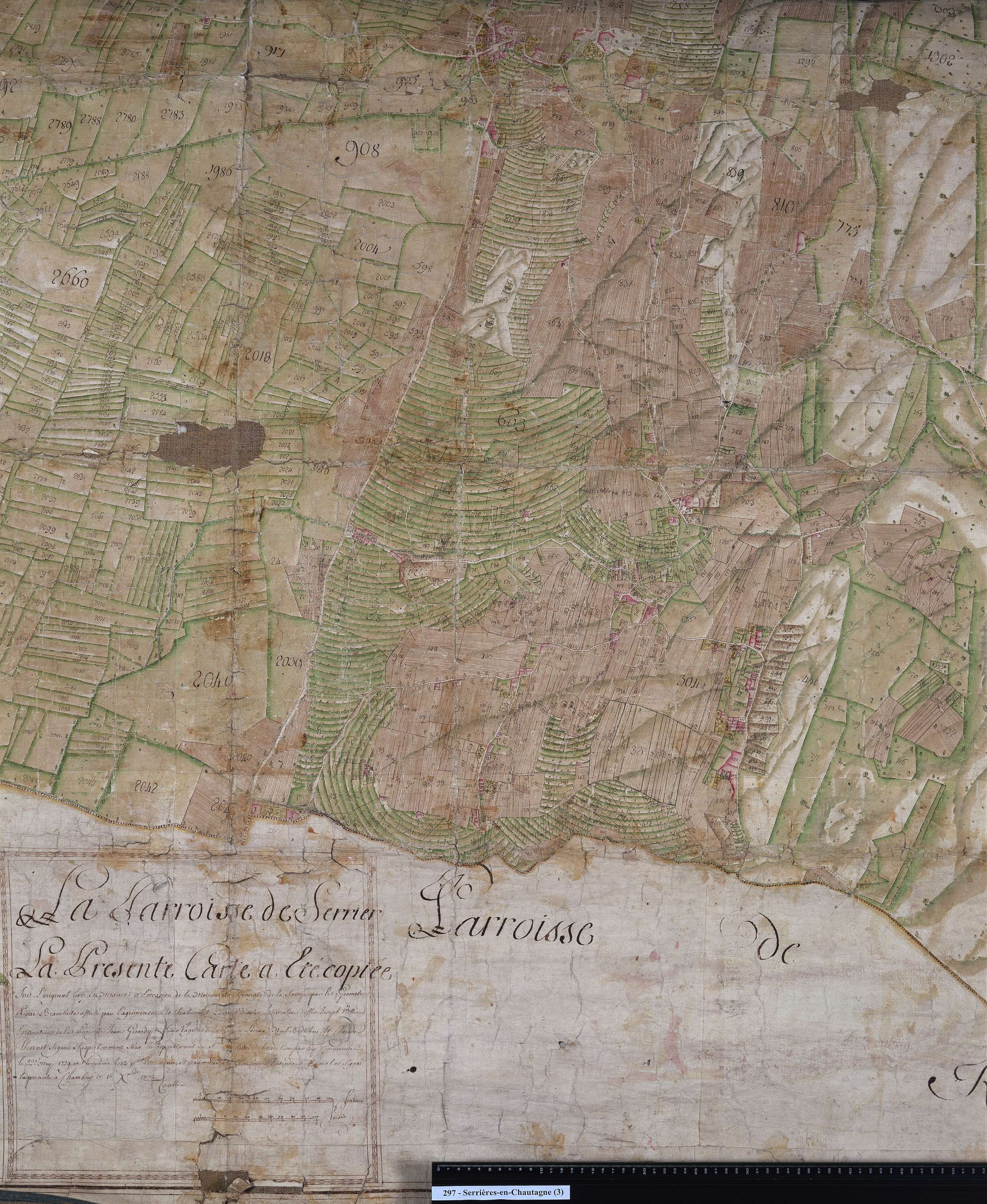 Serrières-en-Chautagne - Copie de la mappe originale (plan cadastral) de la commune de Serrières. Signée Cocelli, directeur de la péréquation.
