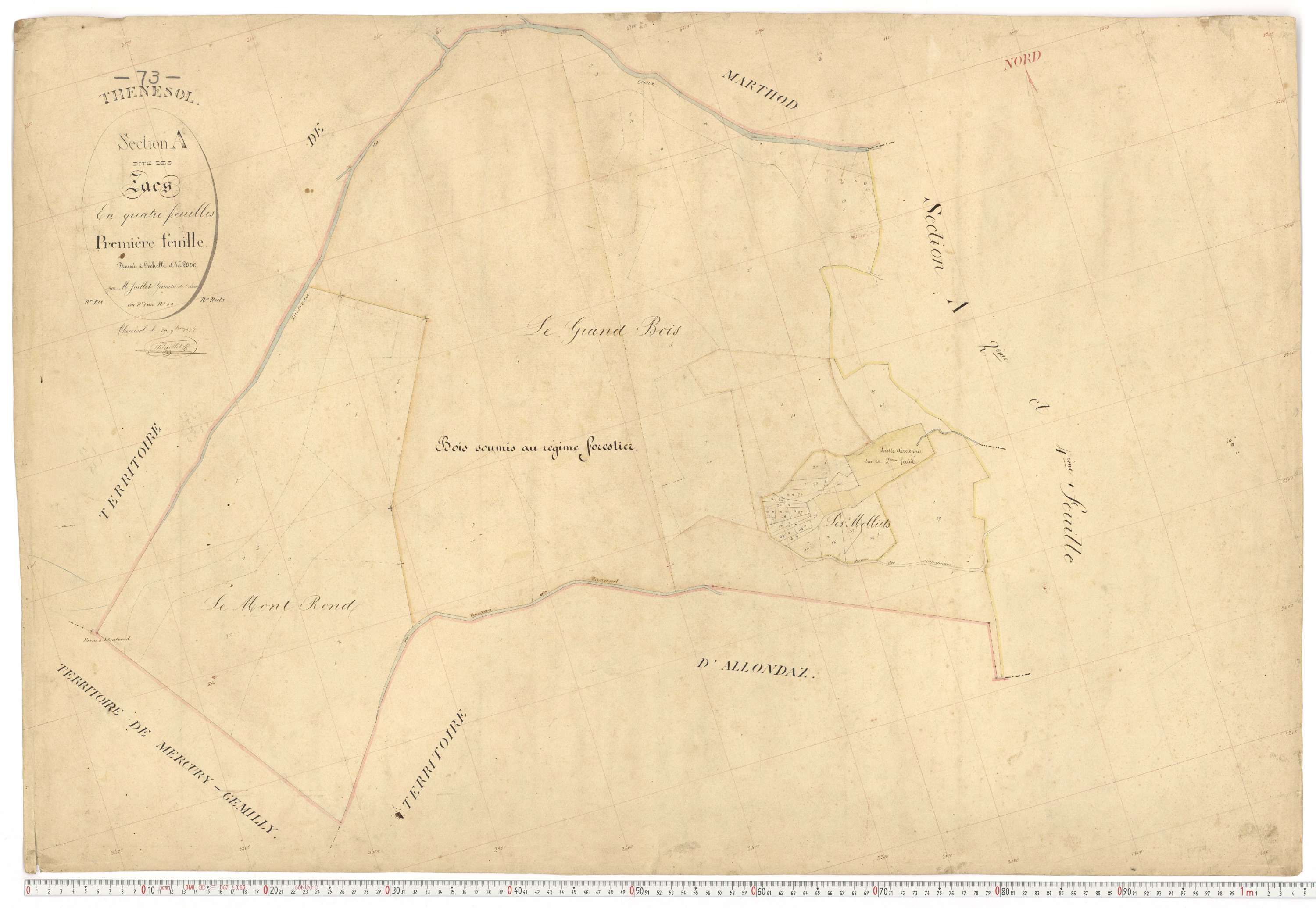 Thénésol - Plans cadastraux du premier cadastre français.