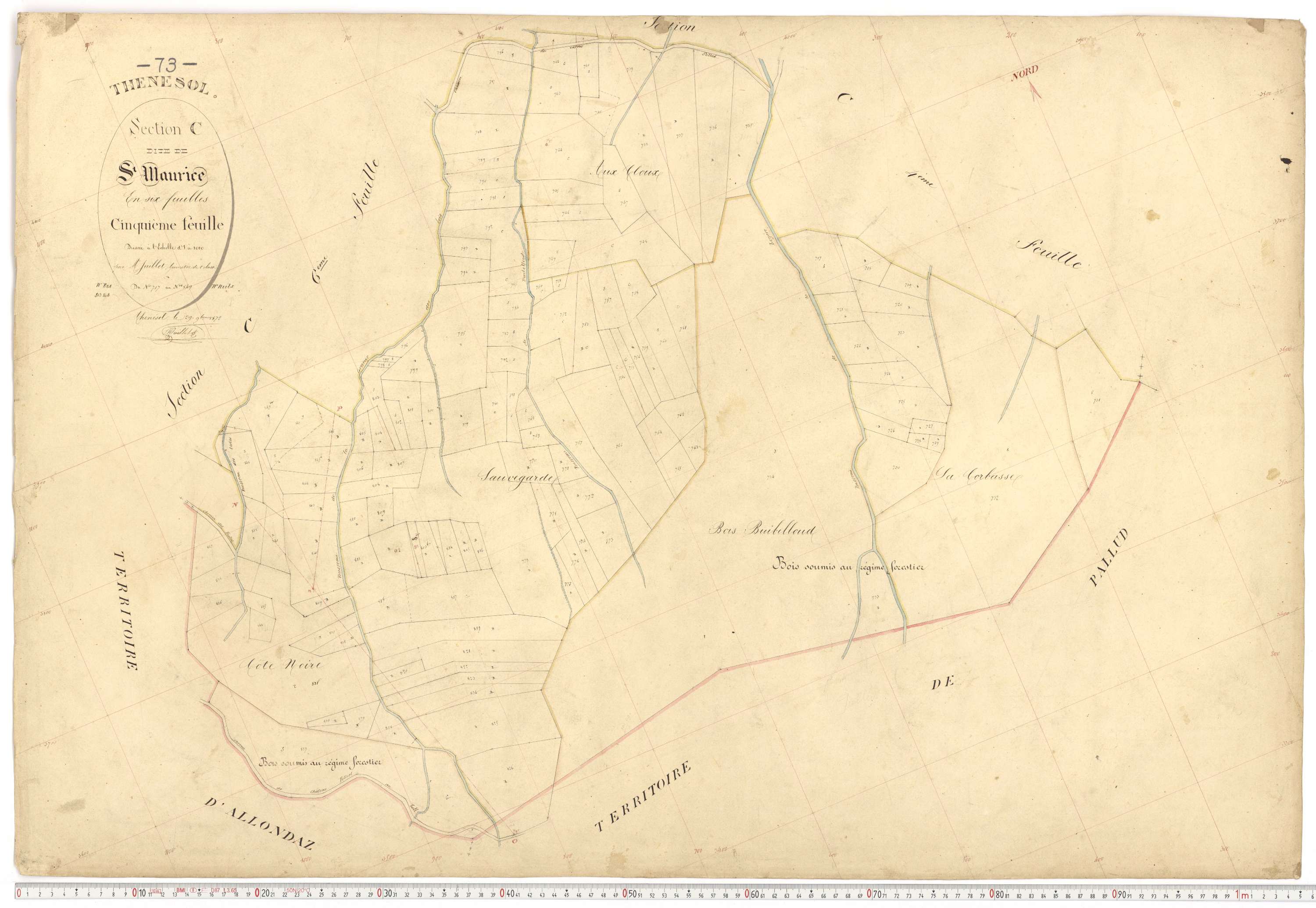 Thénésol - Plans cadastraux du premier cadastre français.
