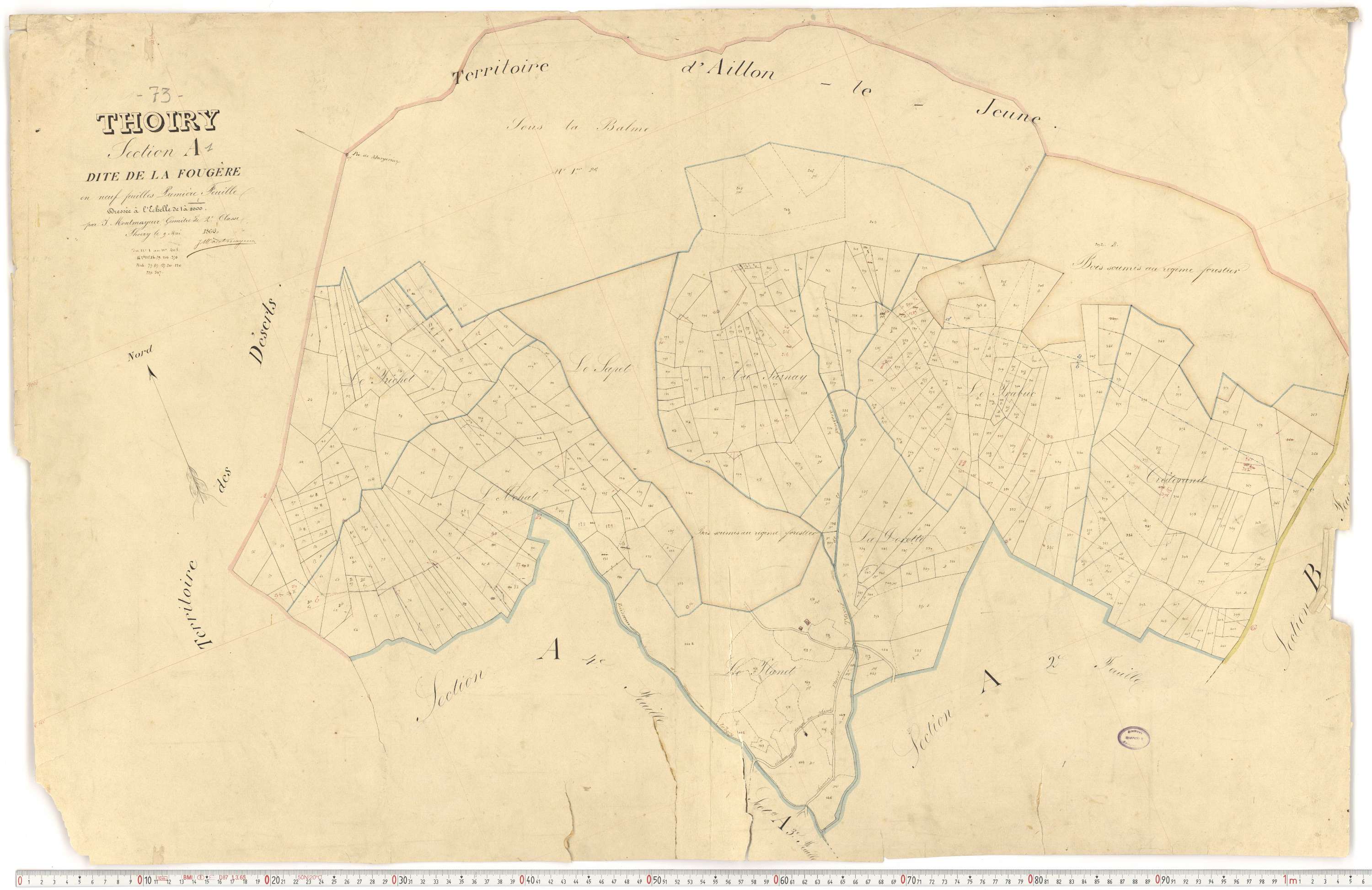Thoiry - Cadastre français (1866).