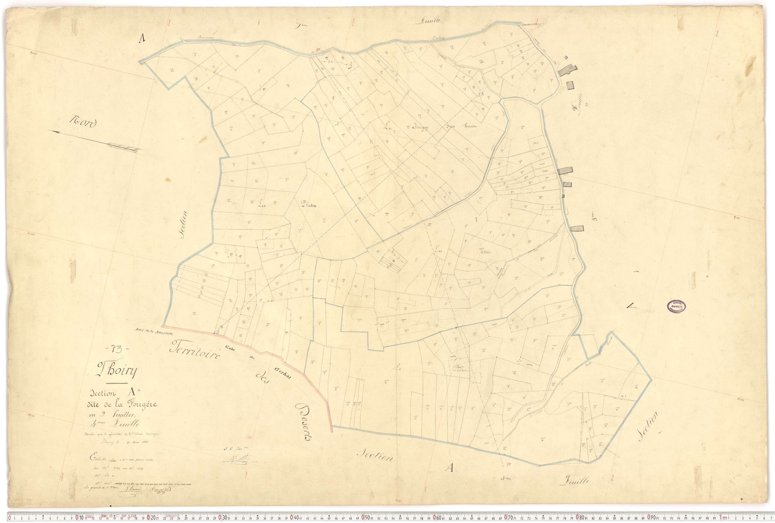 Thoiry - Cadastre français (1866).