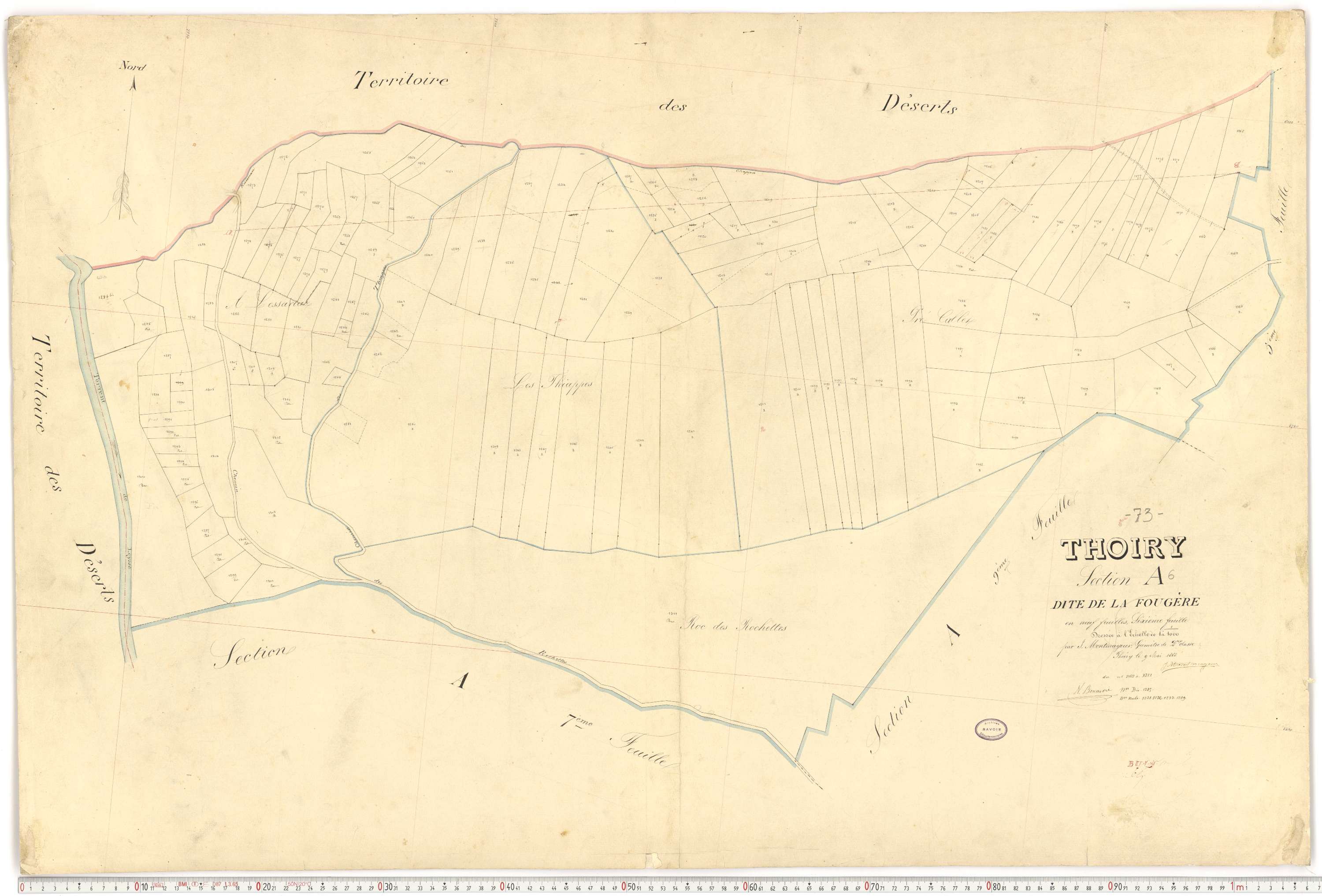 Thoiry - Cadastre français (1866).