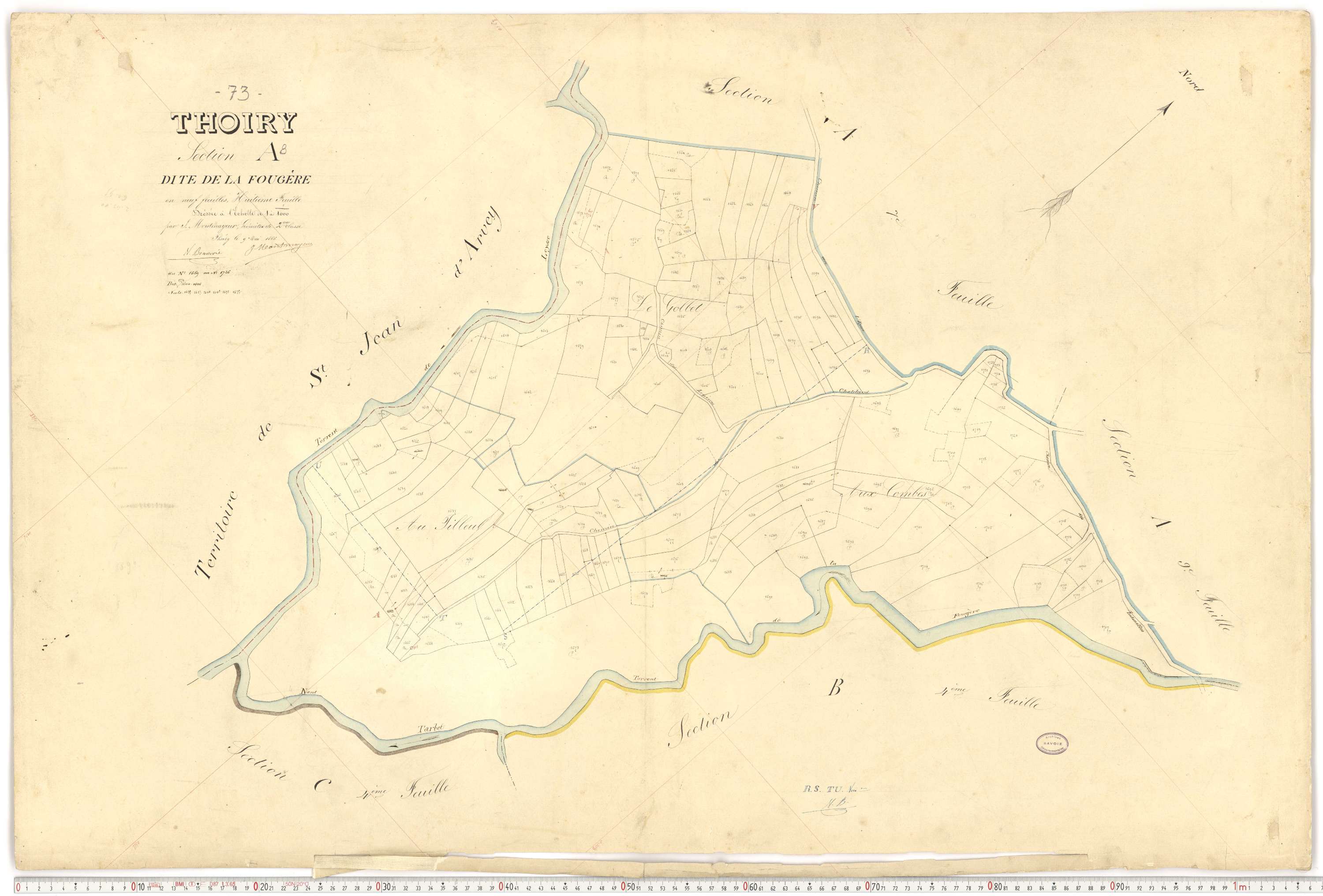 Thoiry - Cadastre français (1866).