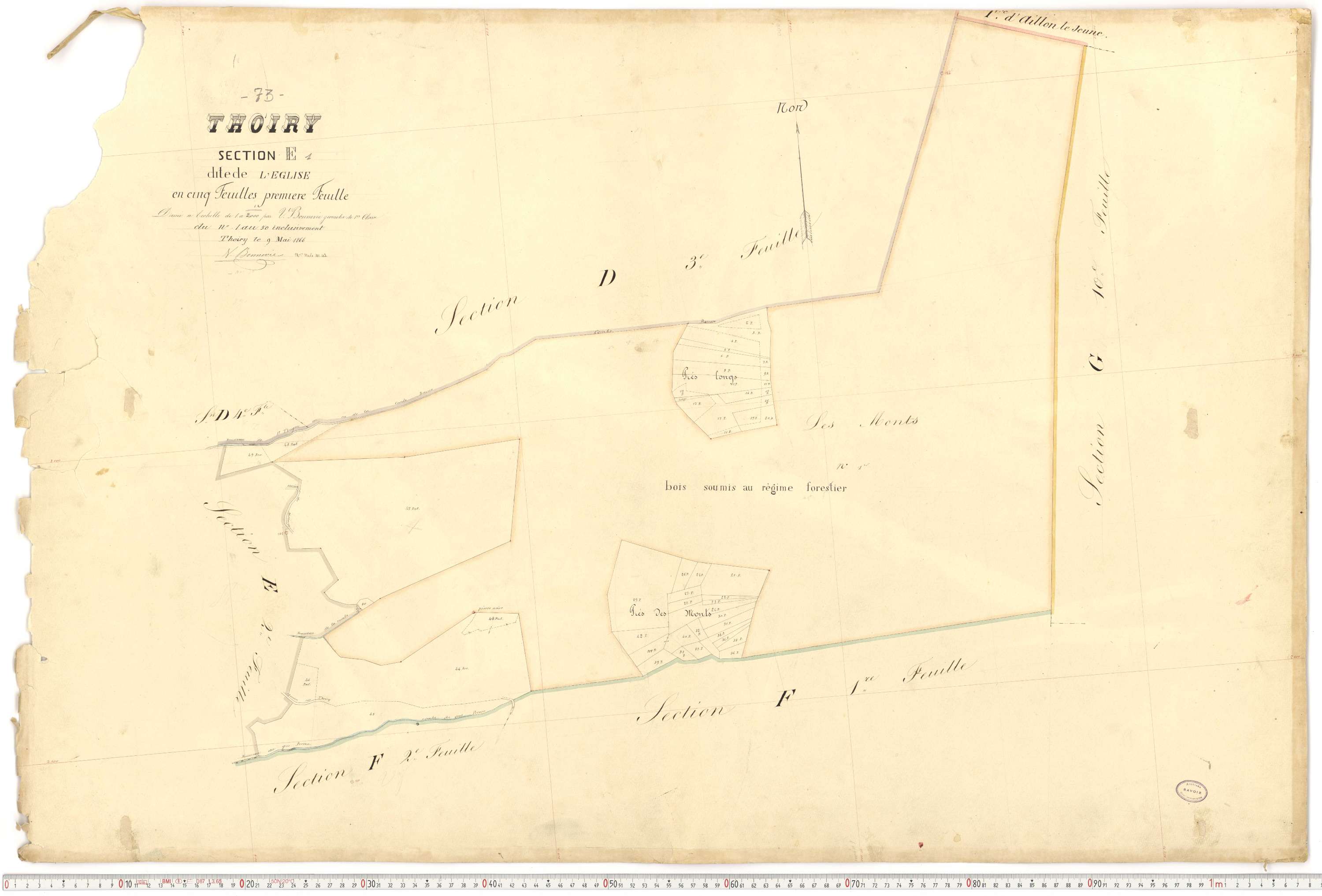 Thoiry - Cadastre français (1866).