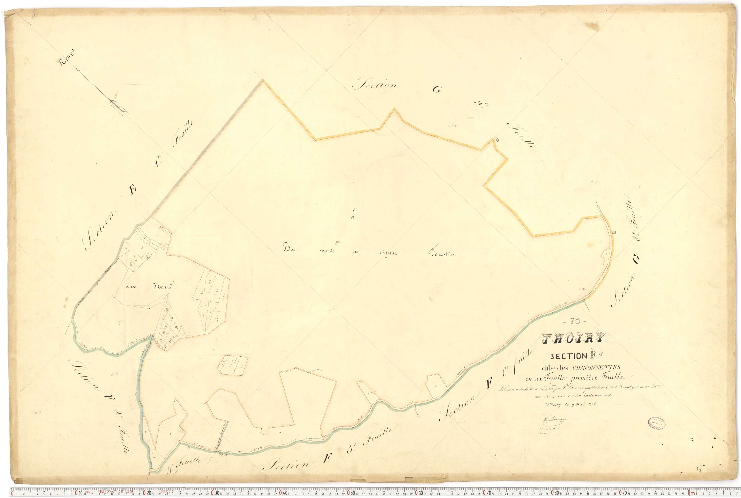 Thoiry - Cadastre français (1866).