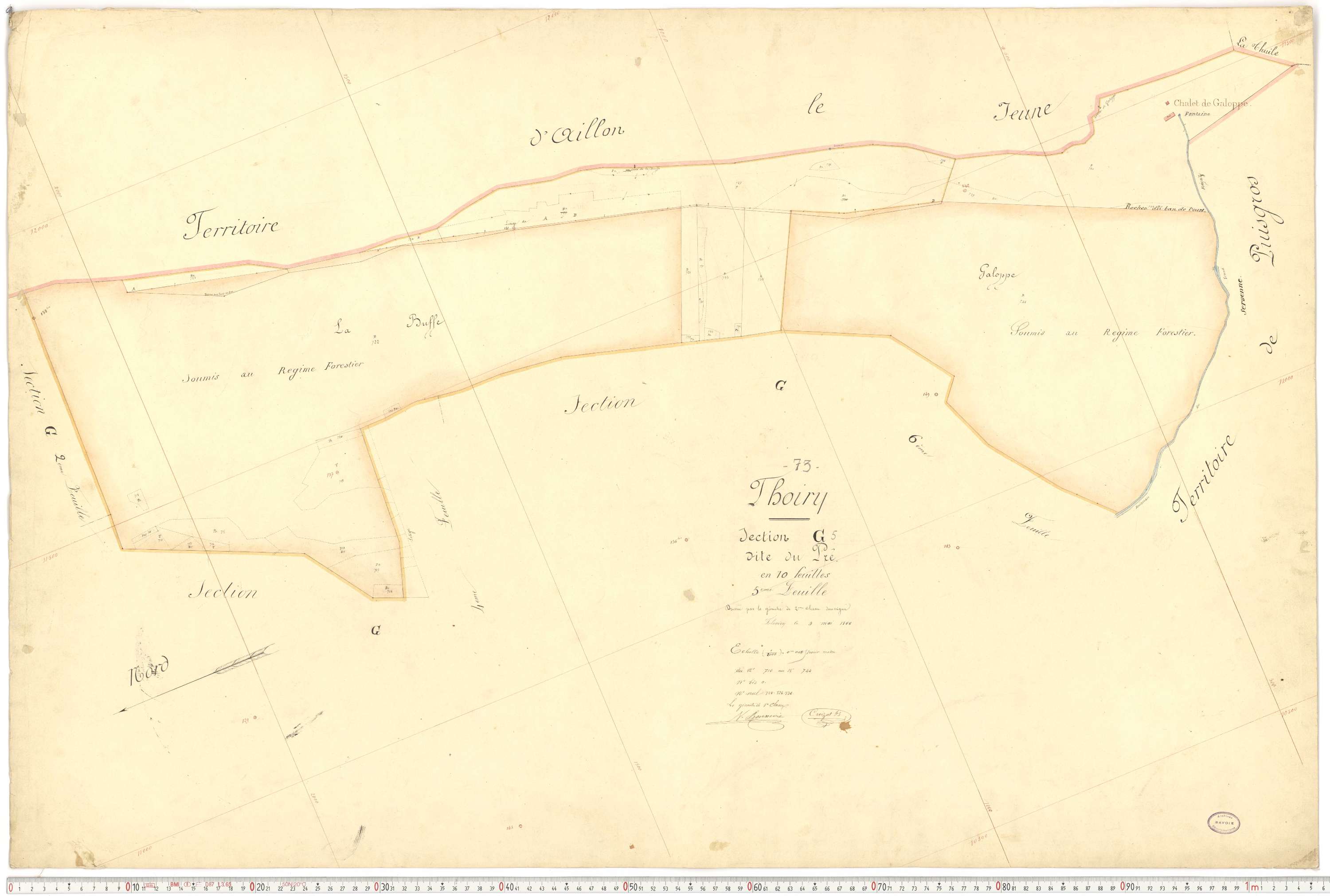 Thoiry - Cadastre français (1866).