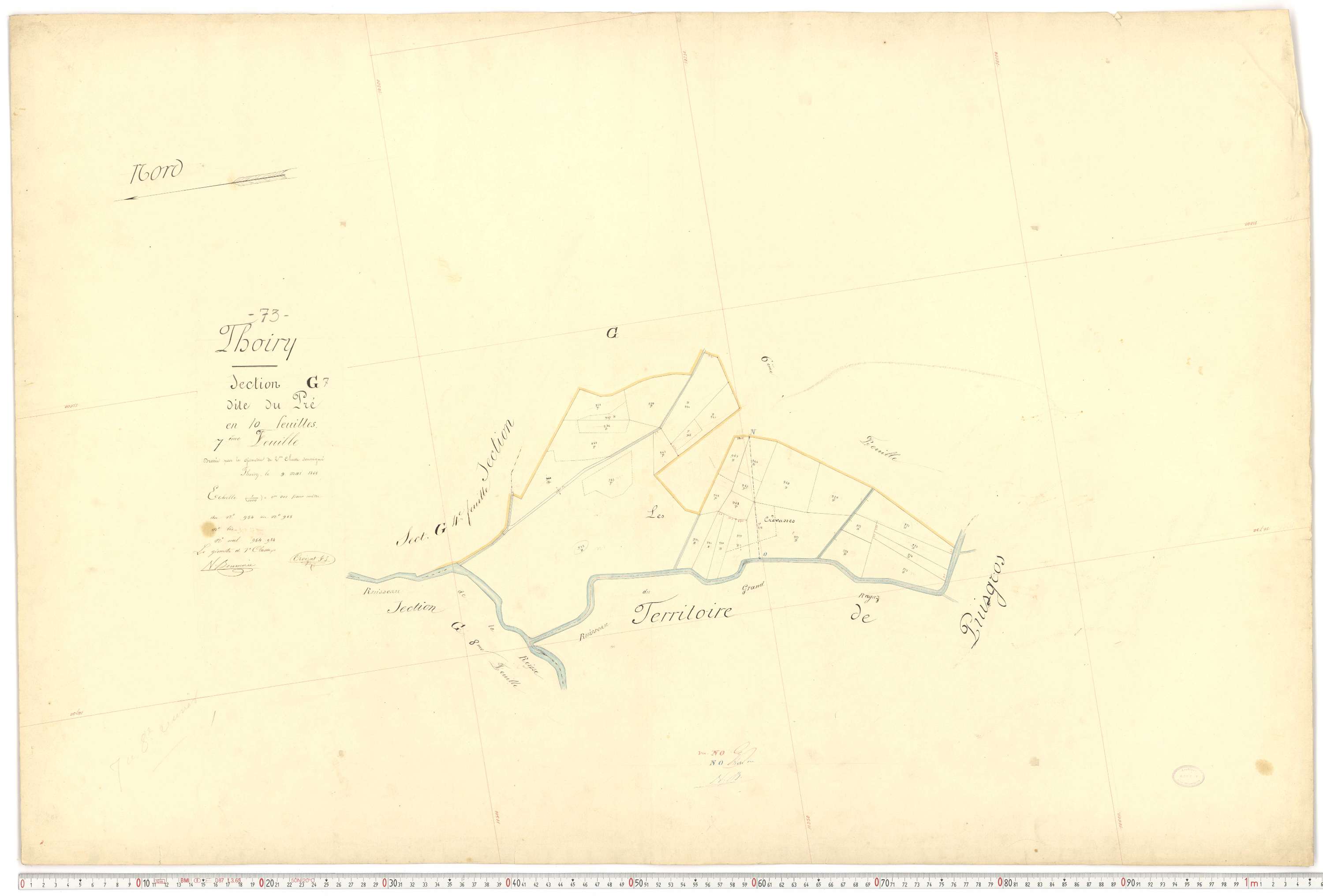Thoiry - Cadastre français (1866).