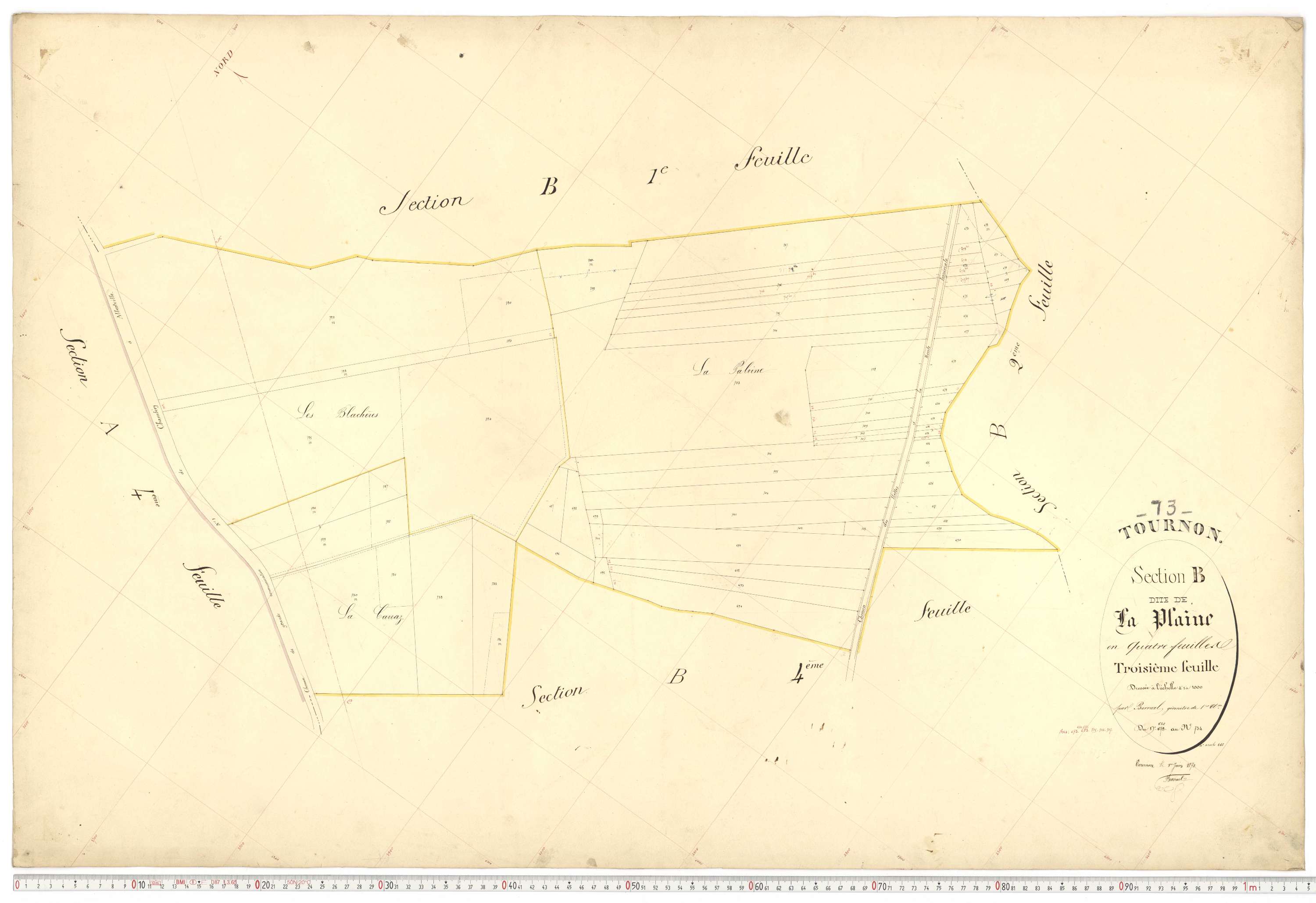 Tournon - Plans cadastraux du premier cadastre français.