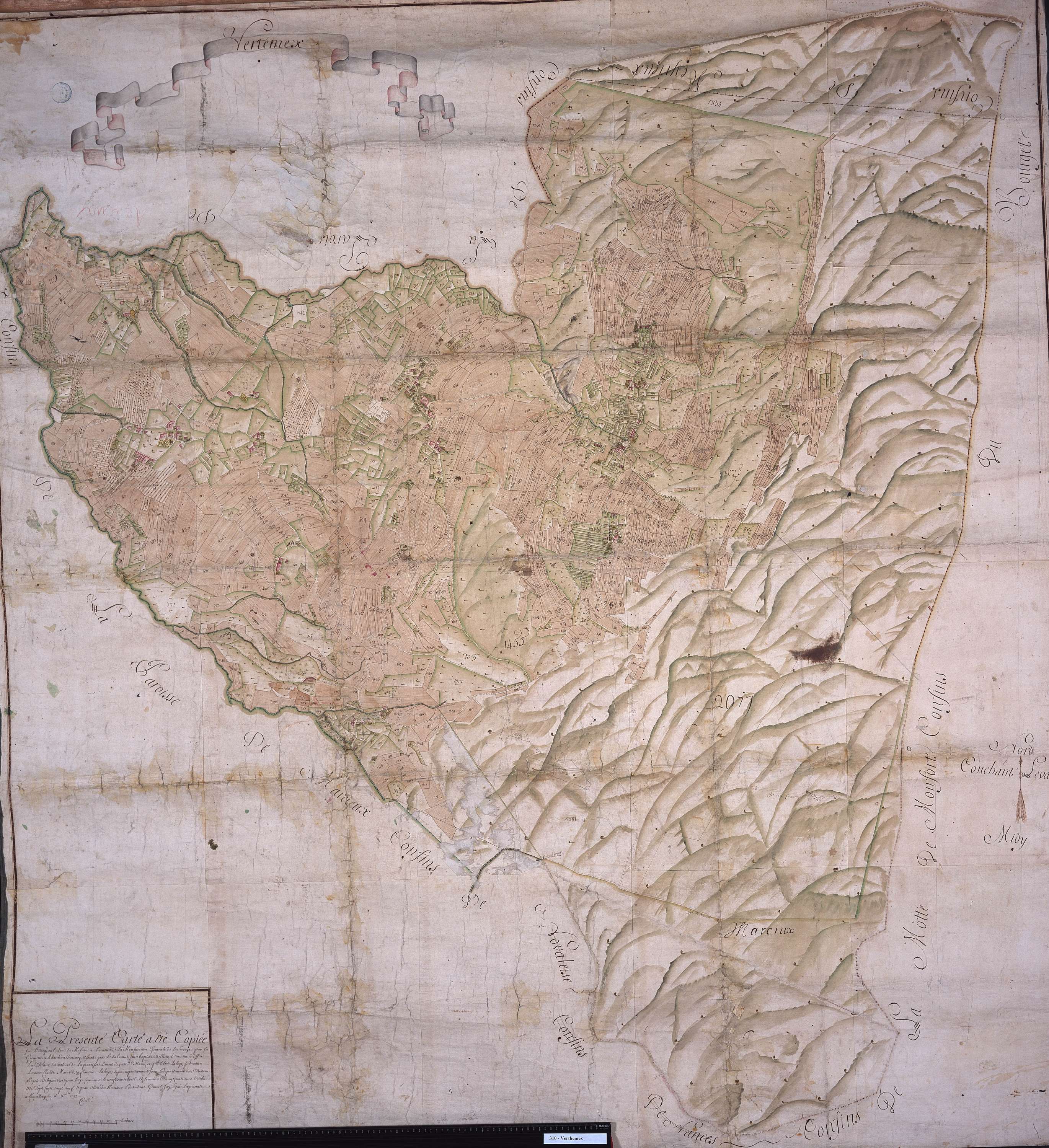 Verthemex - 310.g.jpg