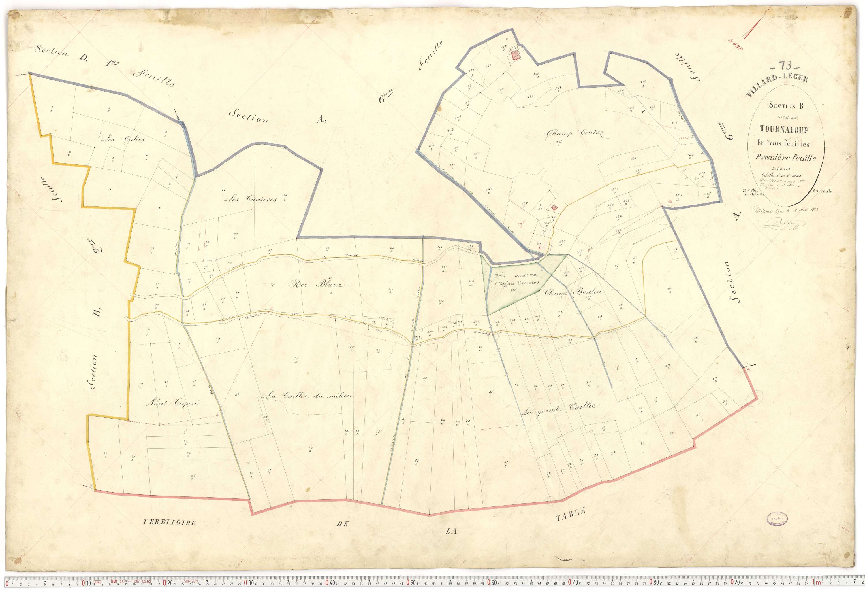 Villard-Léger - Plans cadastraux du premier cadastre français.