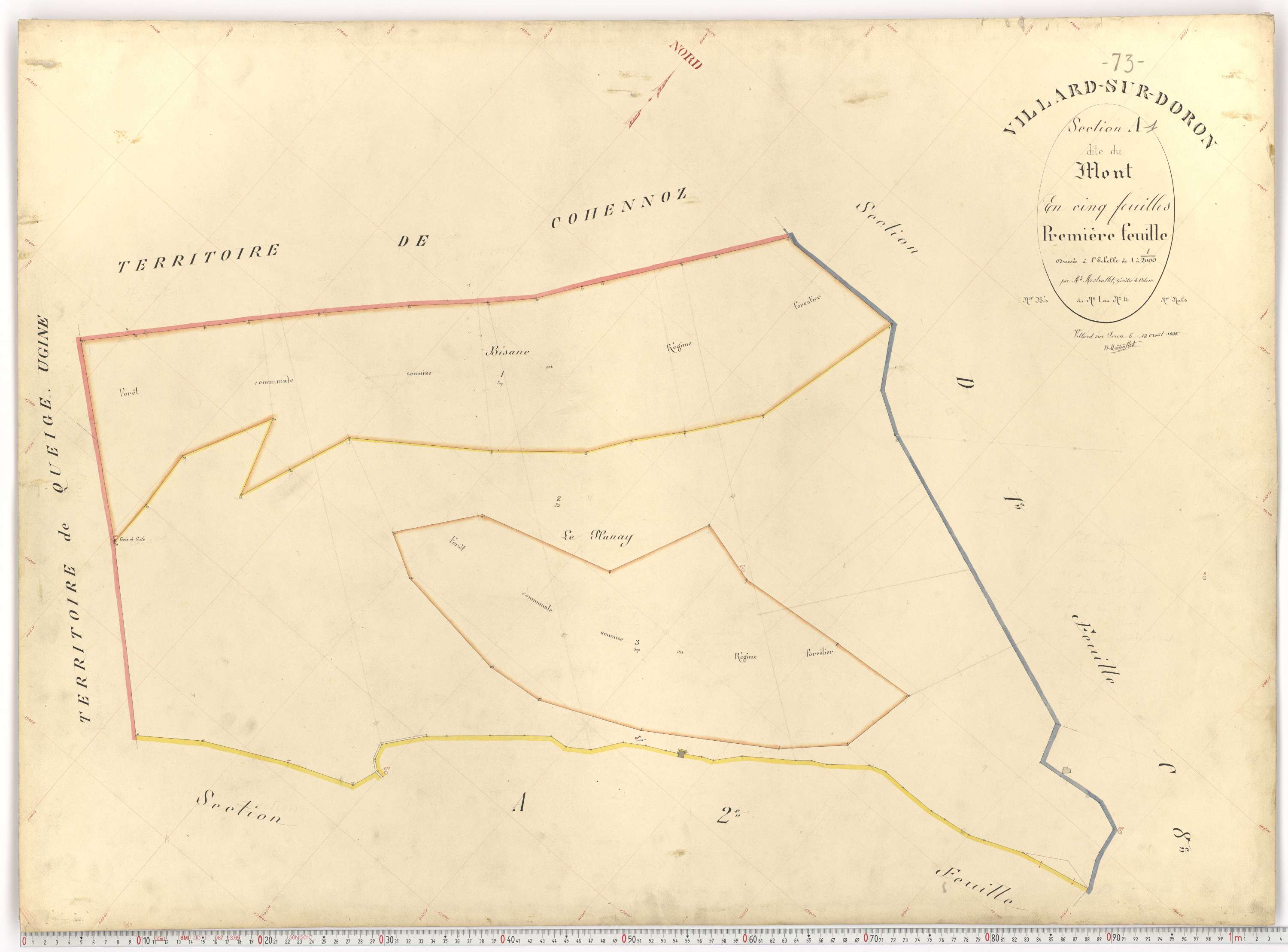 Villard-sur-Doron - Plans cadastraux du premier cadastre français.