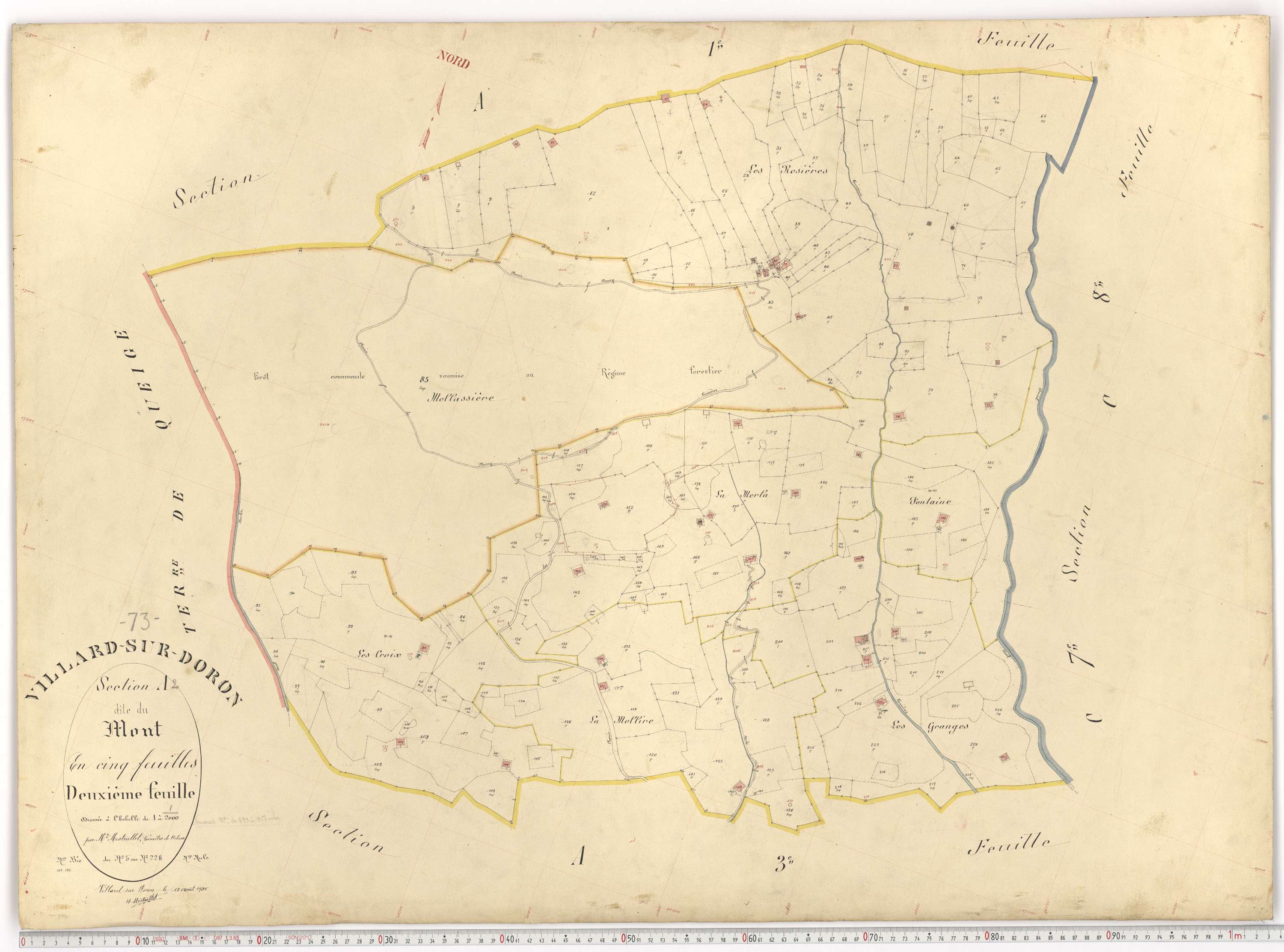 Villard-sur-Doron - Plans cadastraux du premier cadastre français.