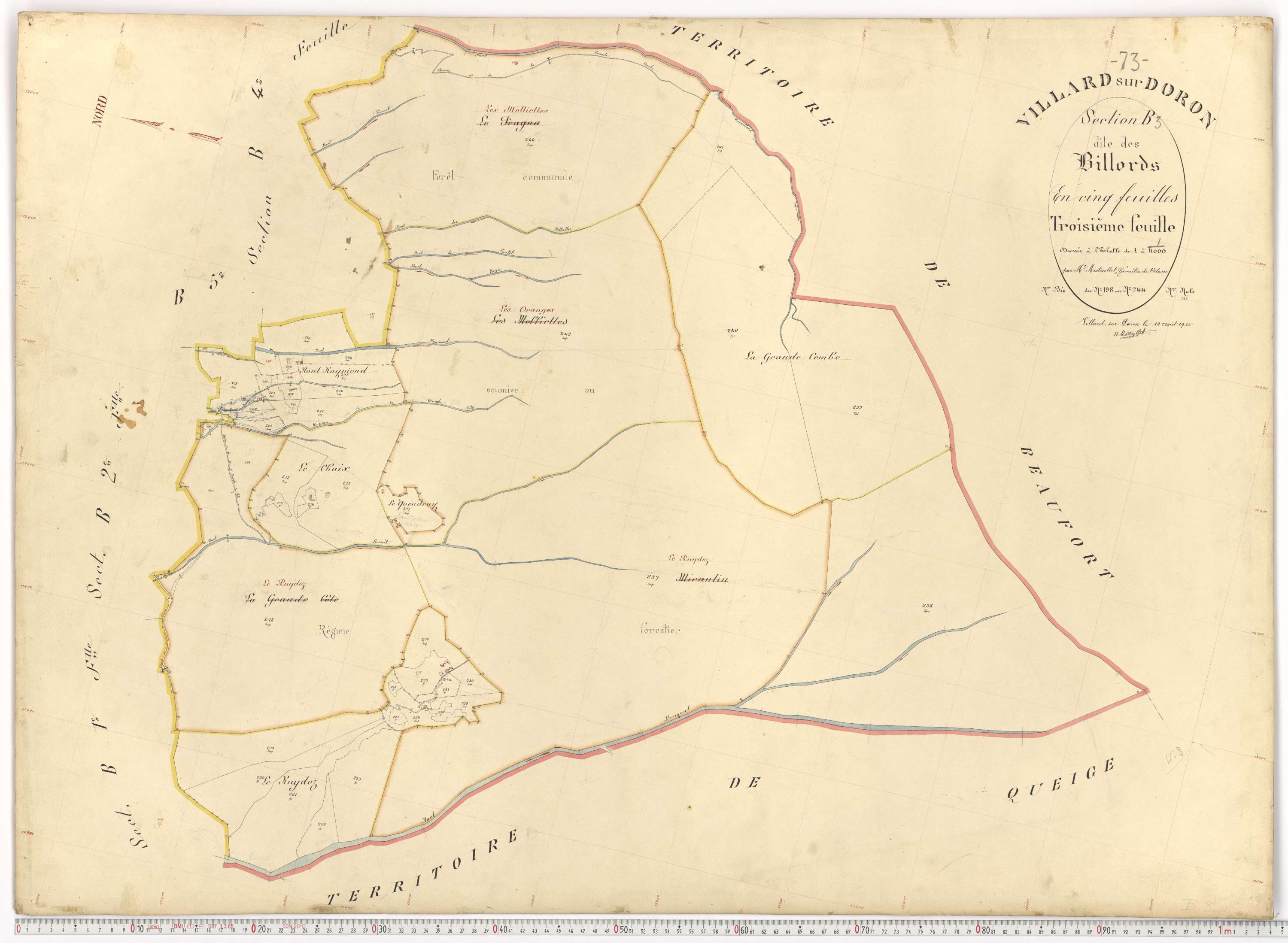 Villard-sur-Doron - Plans cadastraux du premier cadastre français.