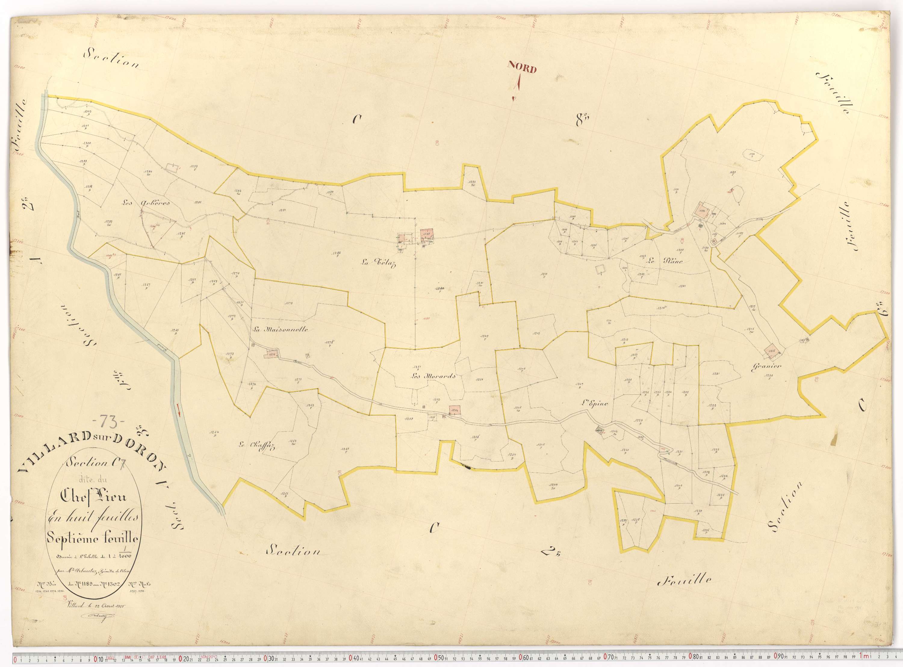Villard-sur-Doron - Plans cadastraux du premier cadastre français.