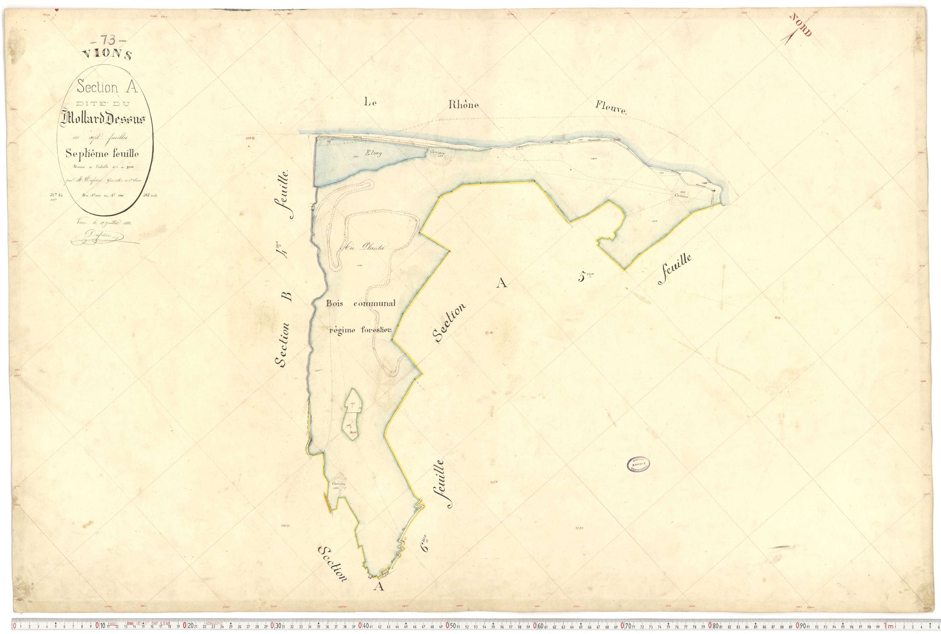 Vions - Cadastre français (1881).