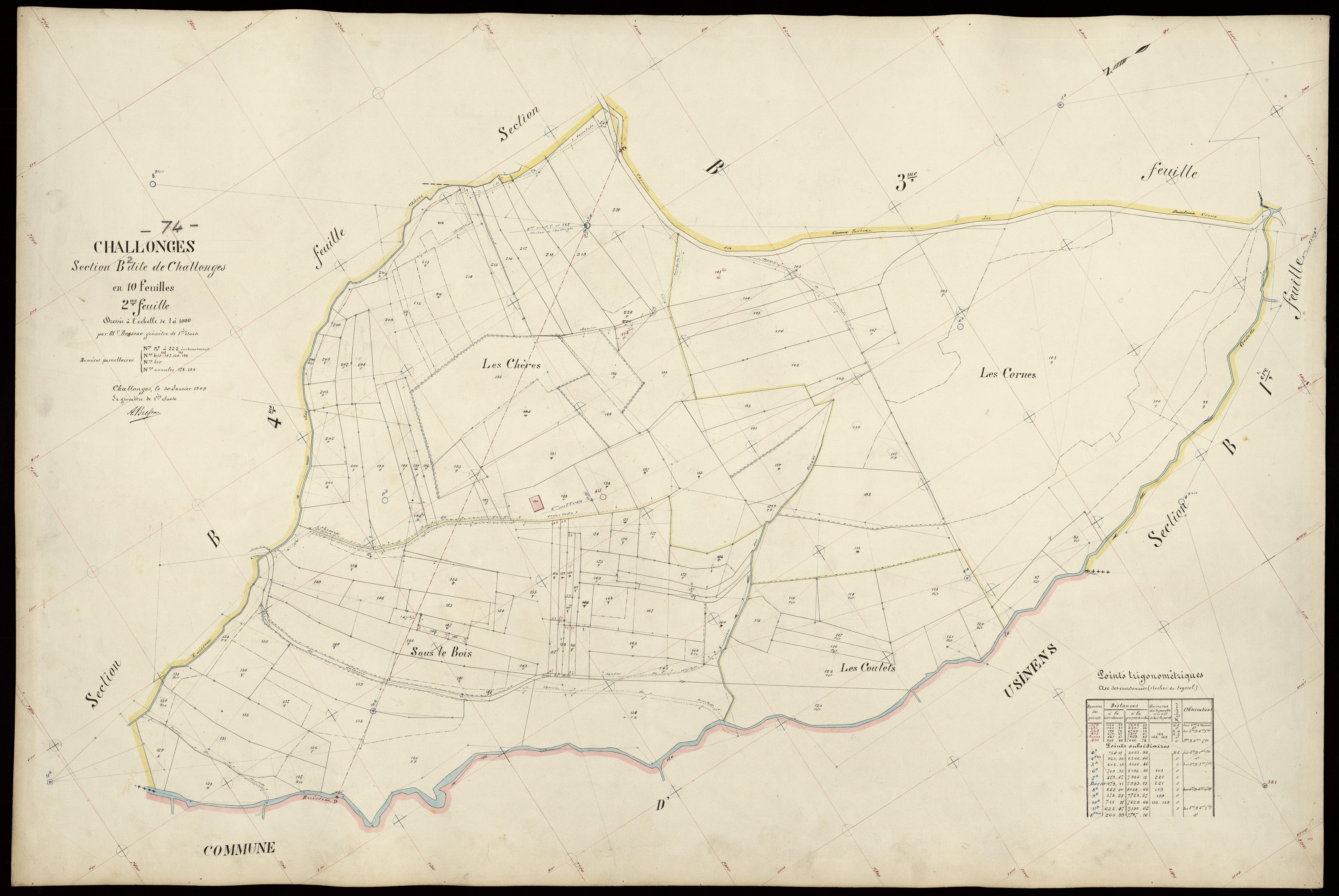 3 P 3 3201 - Feuille n° 3, parcelles n° 222bis à 307 - 30 janvier 1909