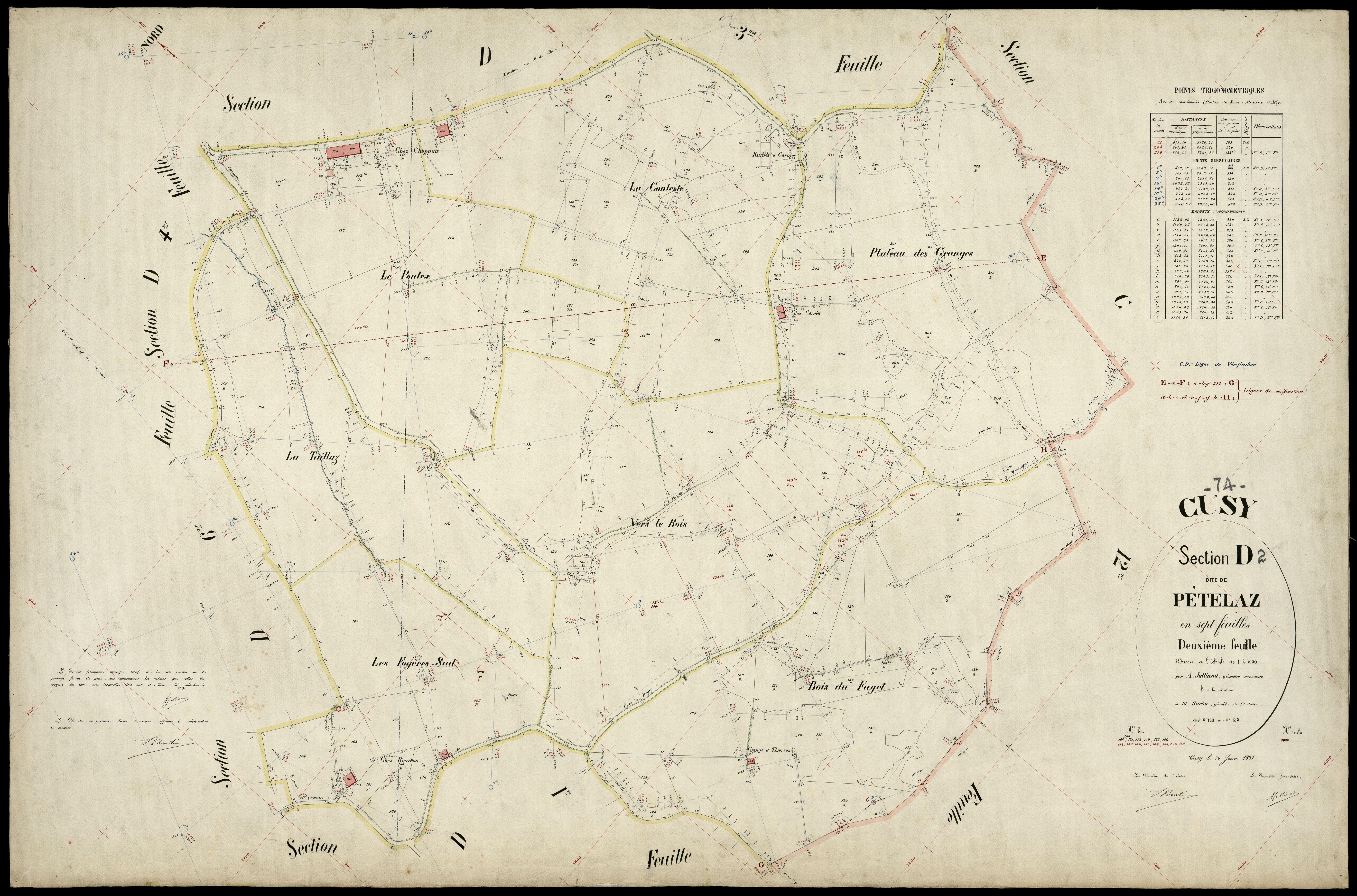 3 P 3 4074 - Feuille n° 3, parcelles n° 216 à 267 - 30 juin 1891