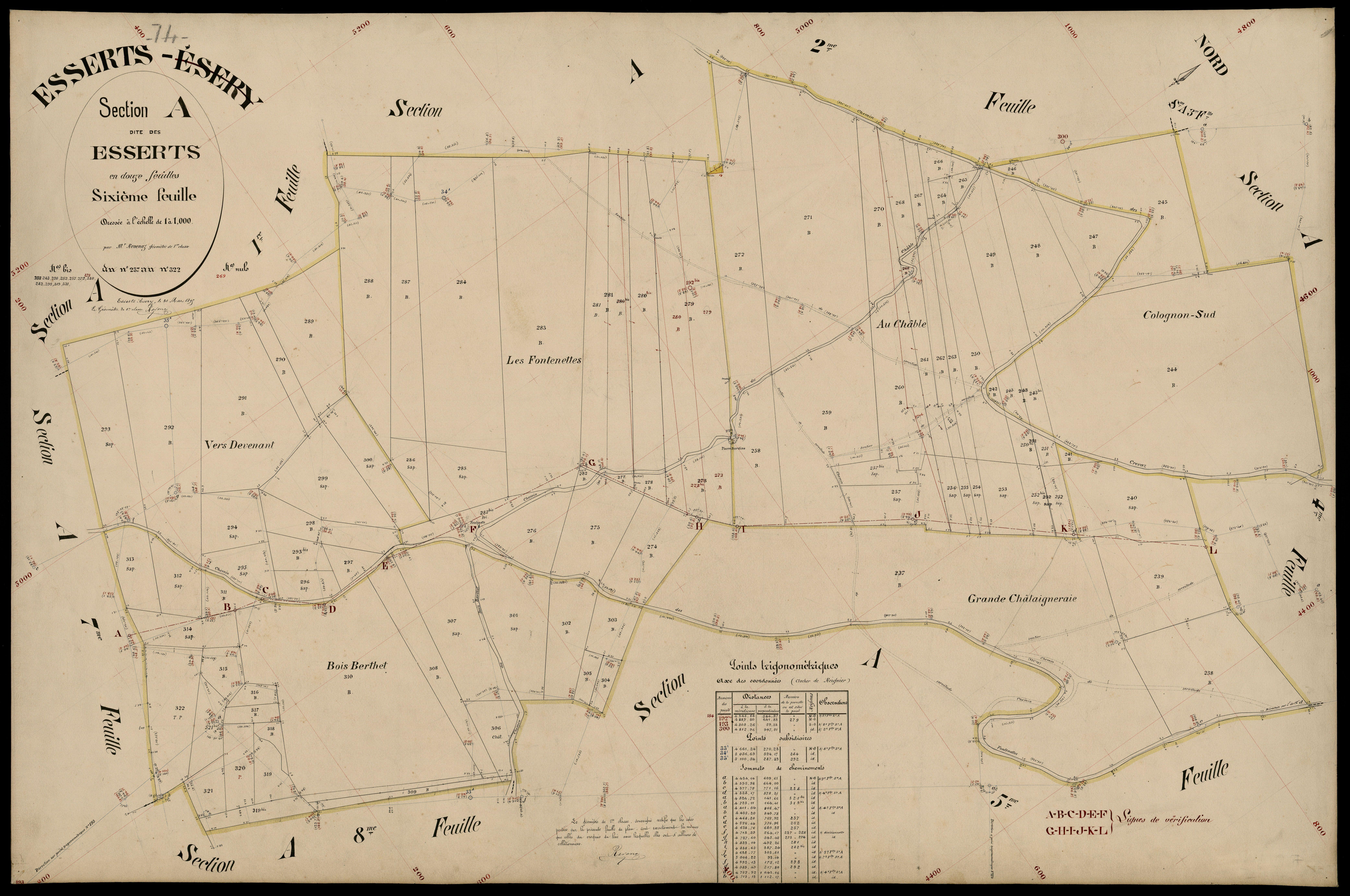 3 P 3 4437 - Feuille n° 7, parcelles n° 323 à 44 - 31 mars 1895