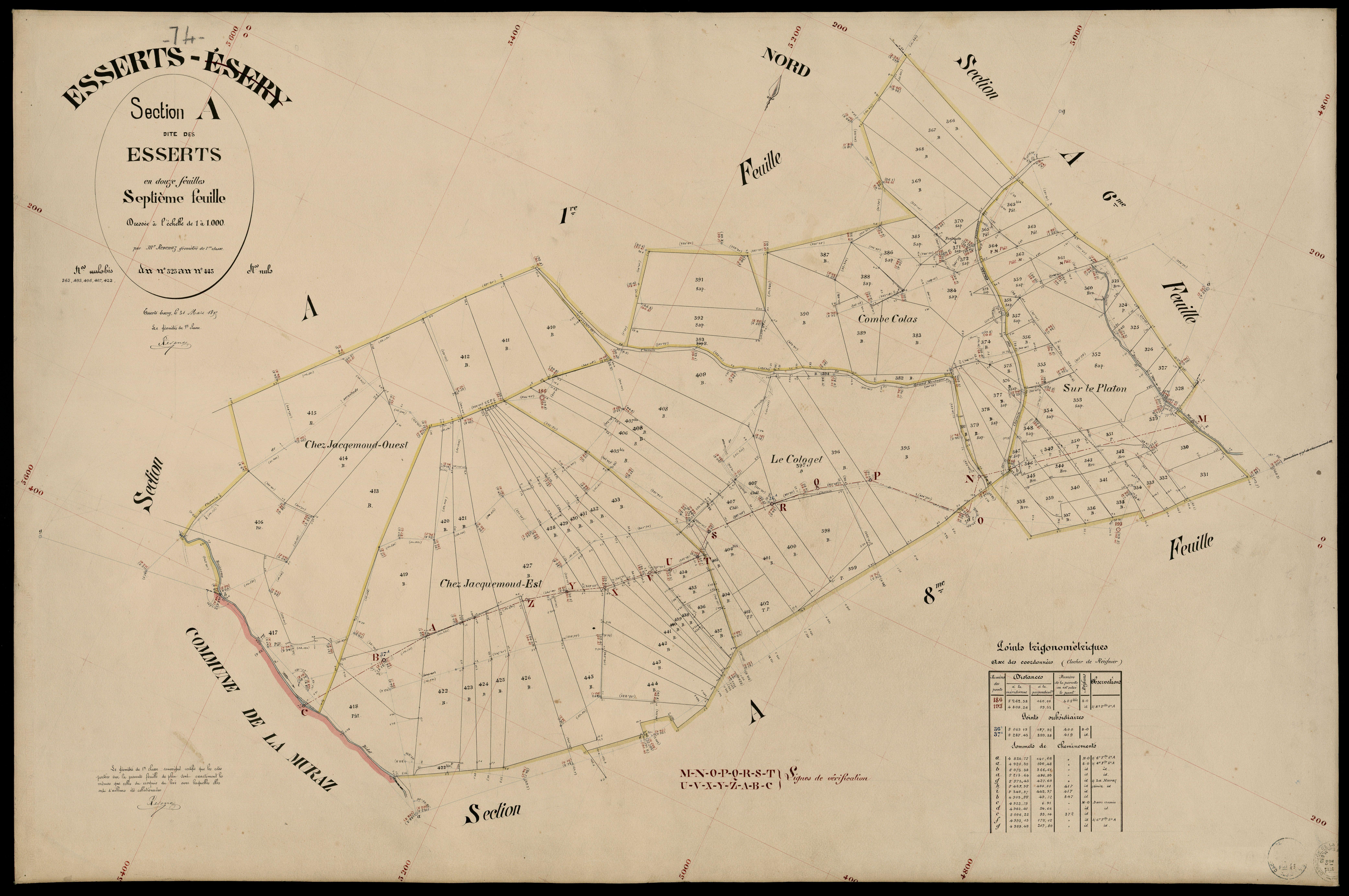 3 P 3 4438 - Feuille n° 8, parcelles n° 446 à 39 - 31 mars 1895