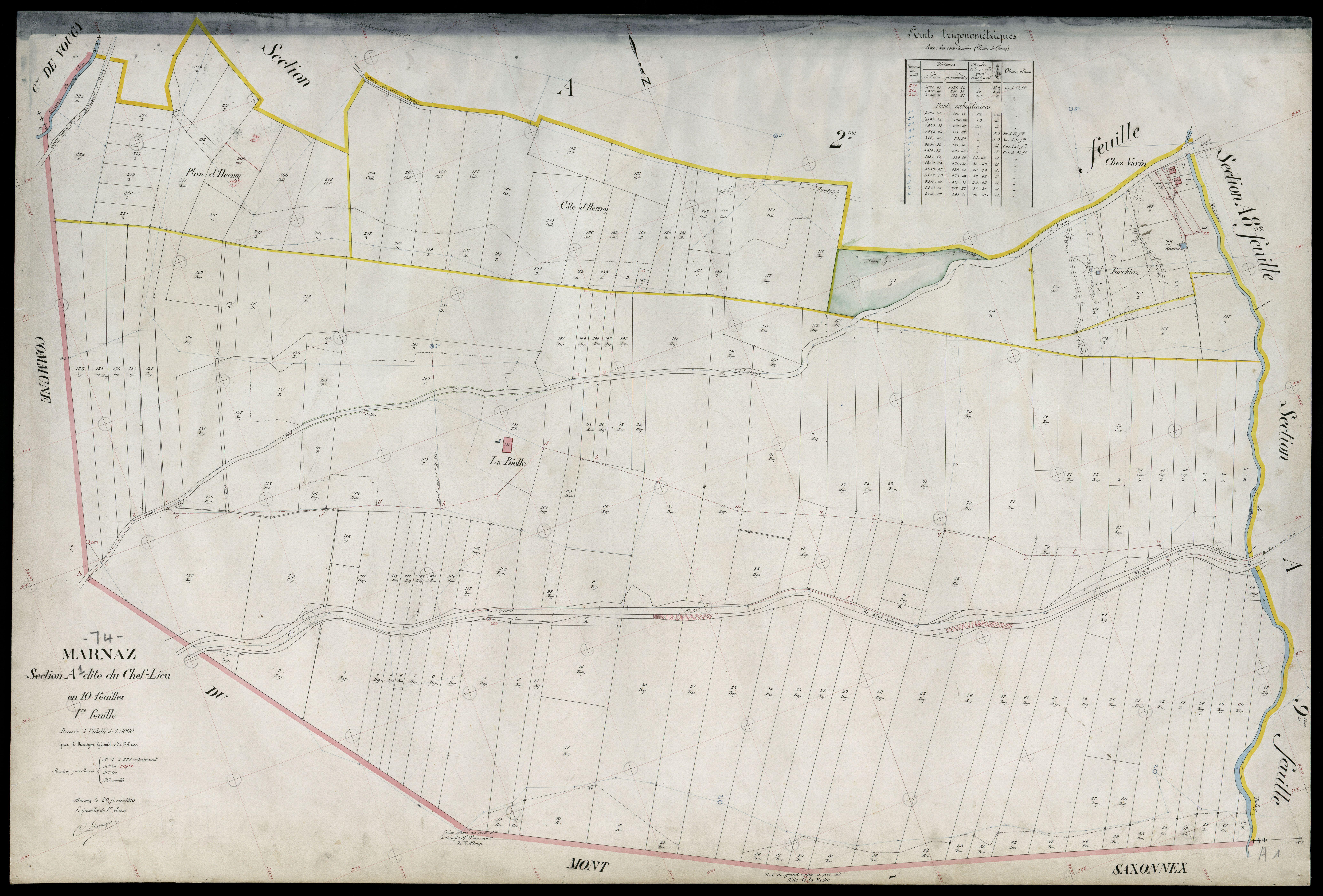 3 P 3 5769 - Feuille n° 2, parcelles n° 224 à 07 - 20 février 1910