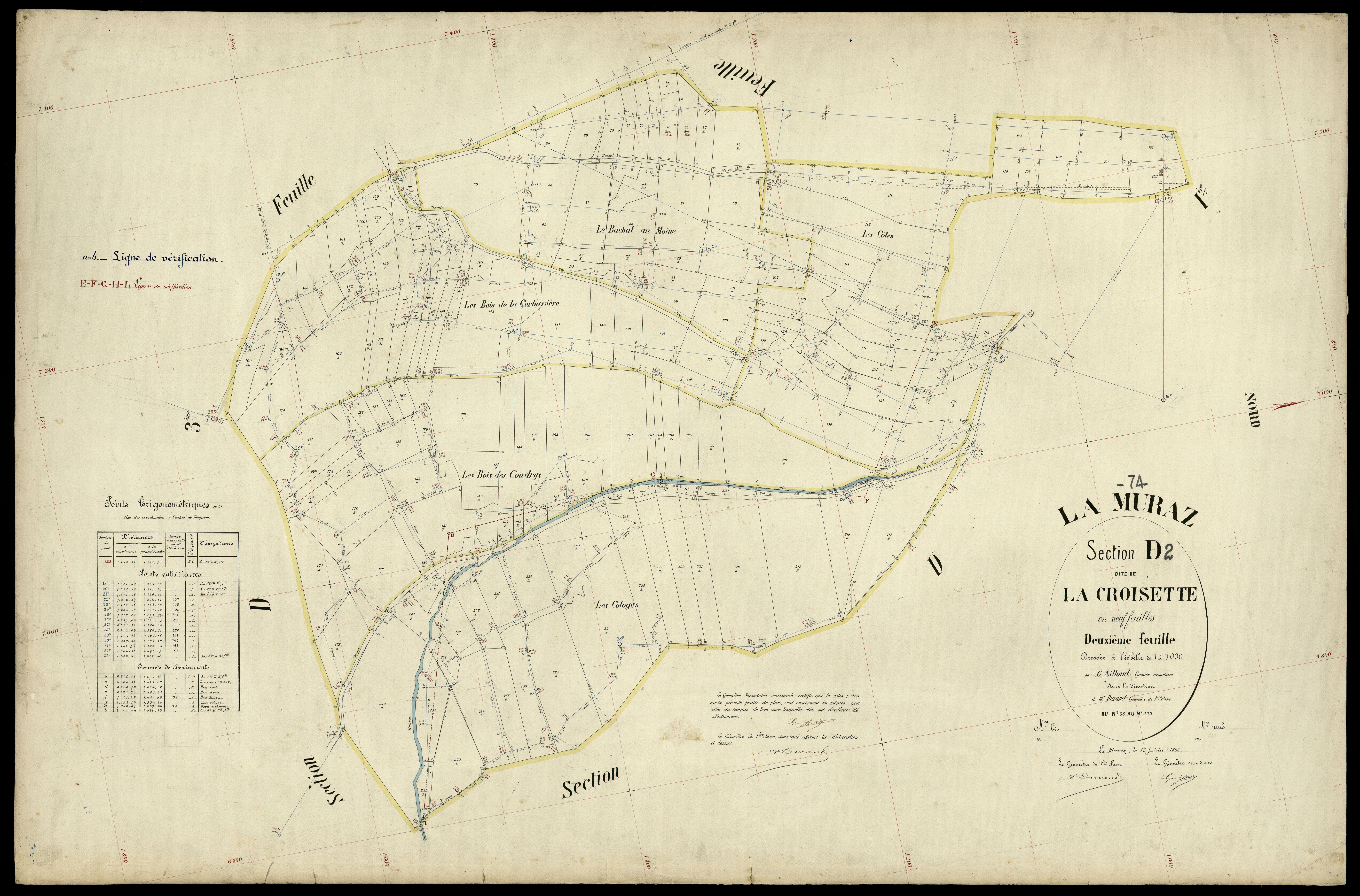 3 P 3 6477 - Feuille n° 3, parcelles n° 243 à 26 - 15 avril 1896