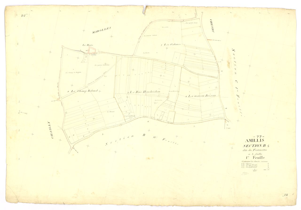 Section B1