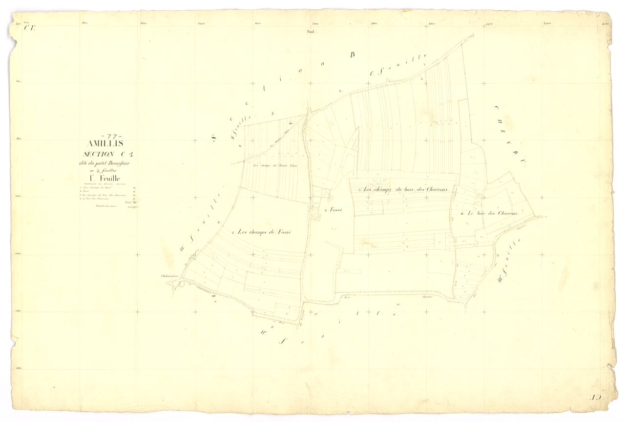 Section C1