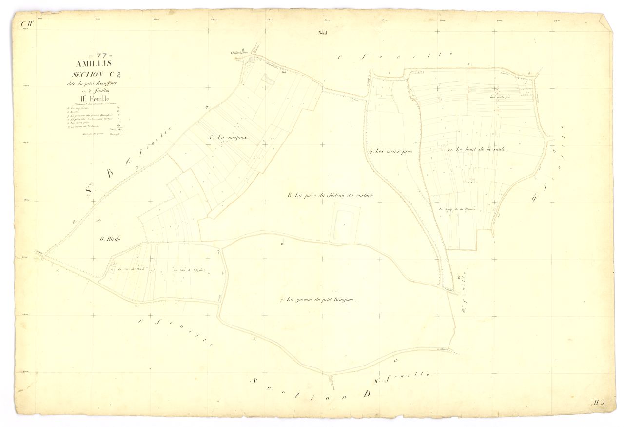 Section C2