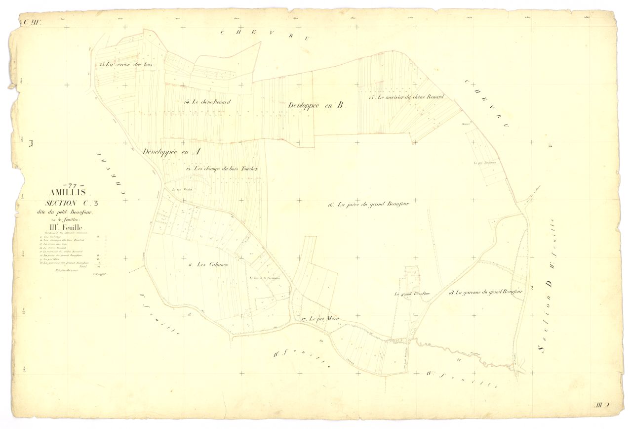 Section C3
