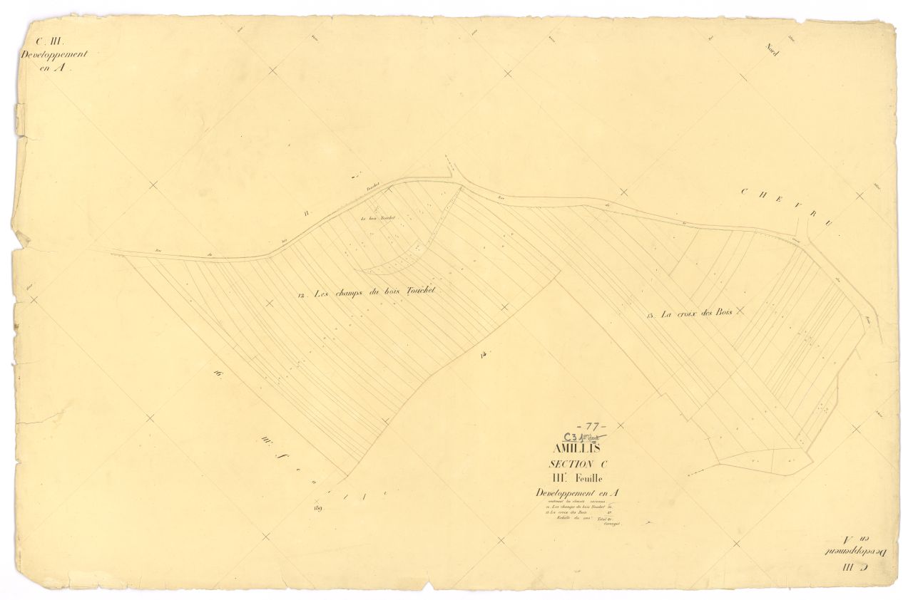 Section C3dev