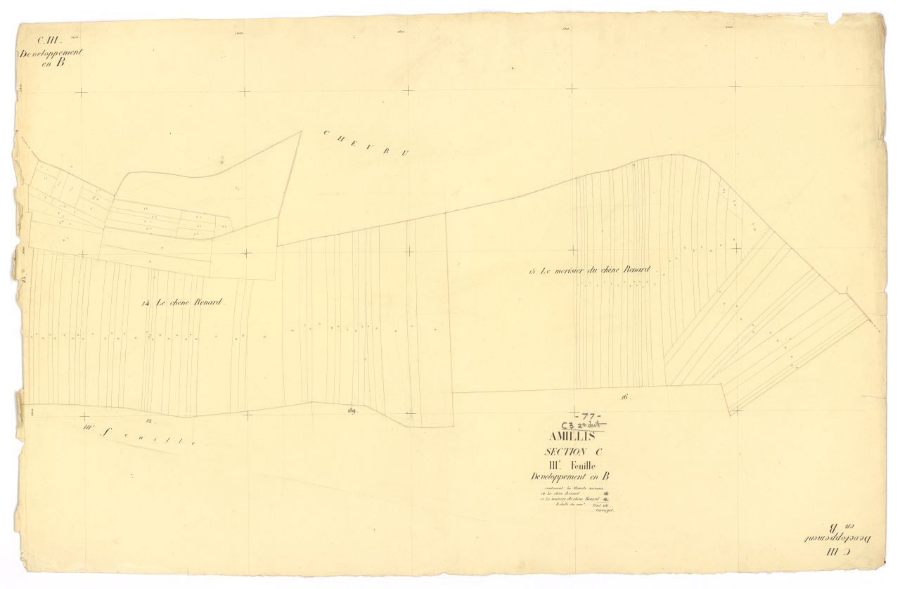 Section C3 dev C4