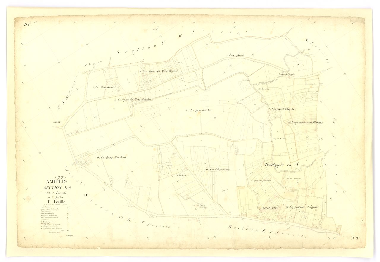 Section D1