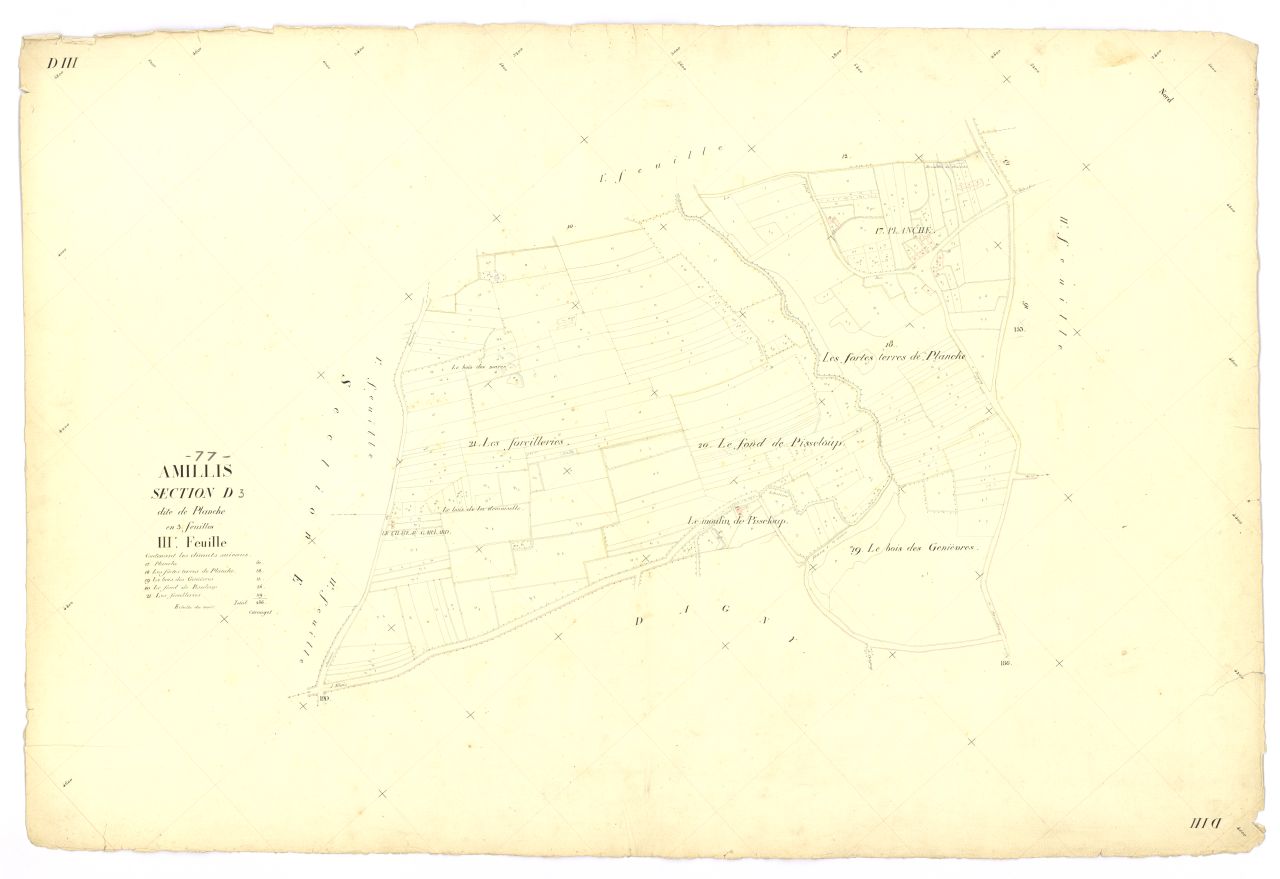 Section D3