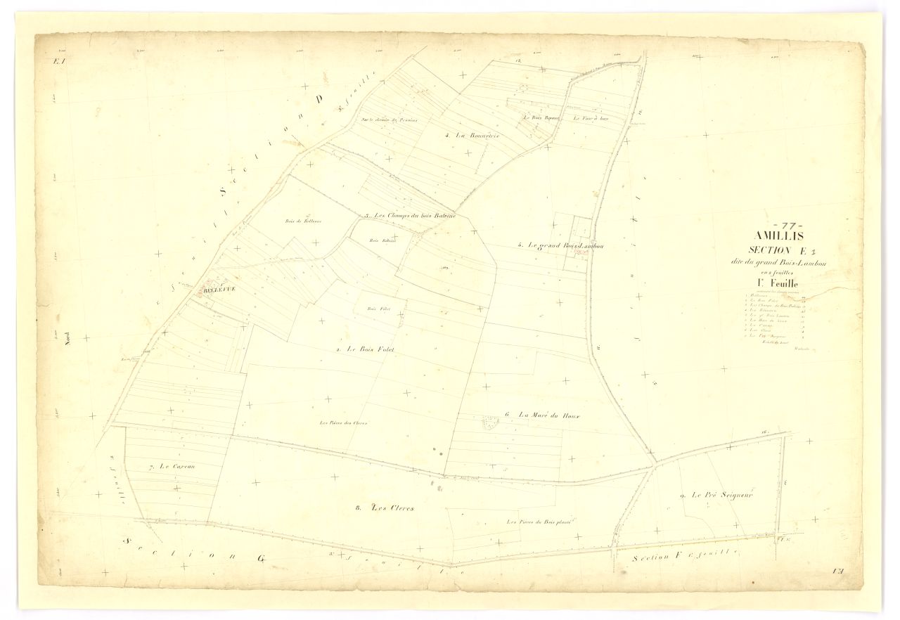 Section E1