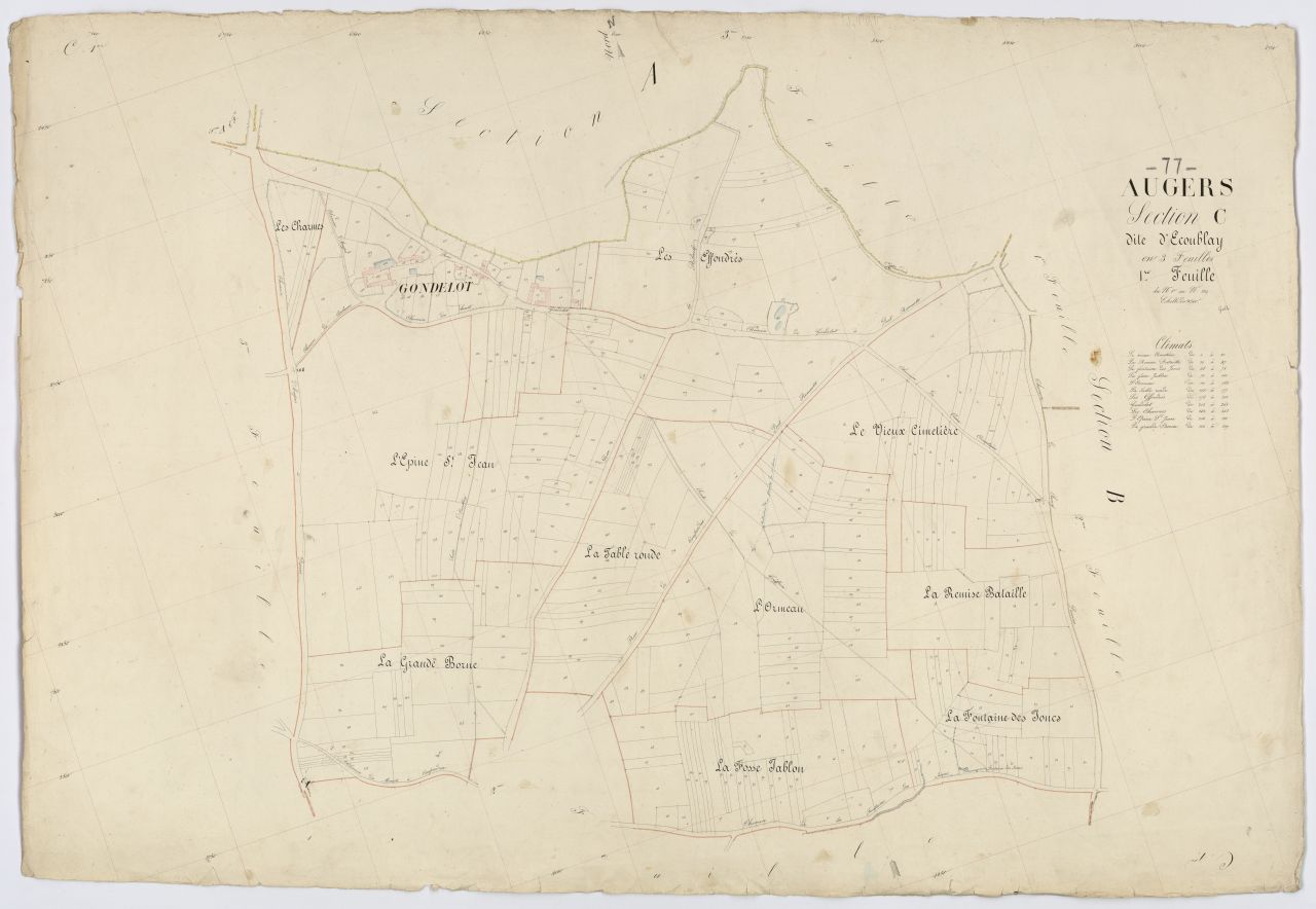 Section C1