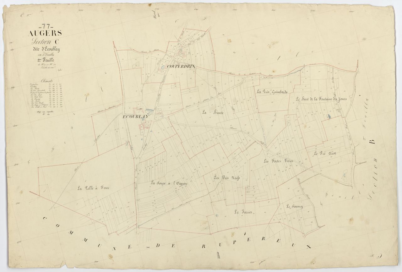 Section C2