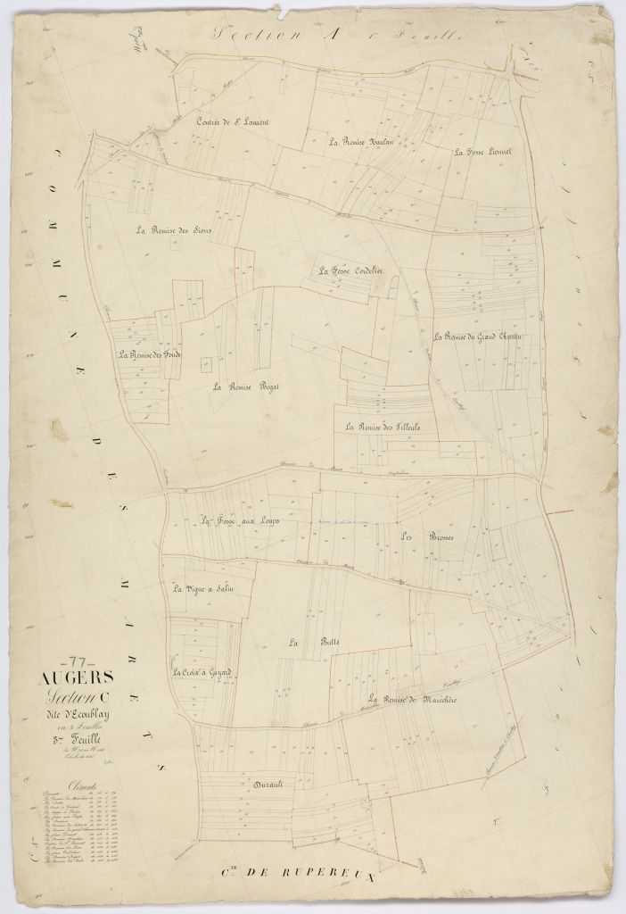 Section C3