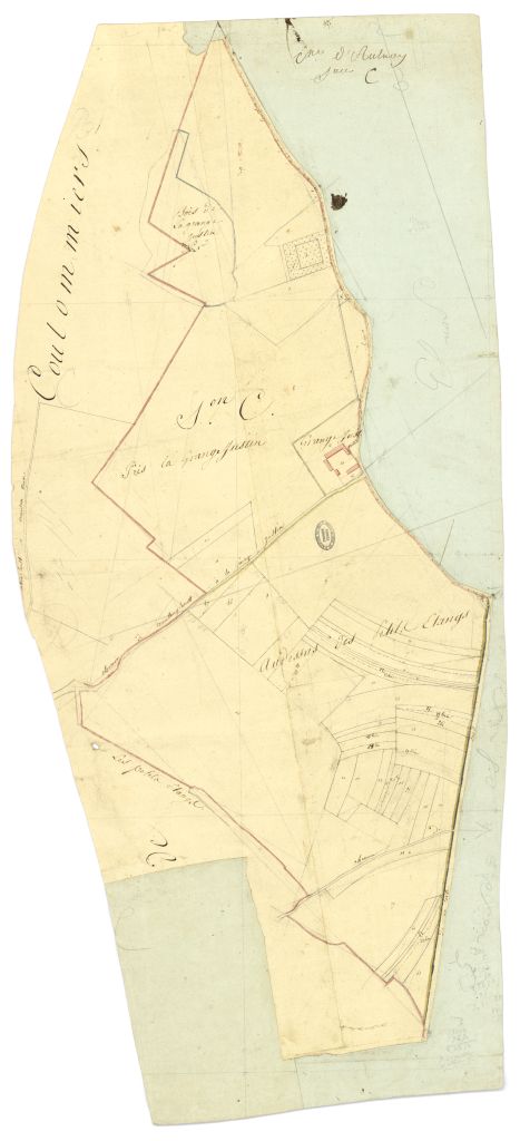 minute, section C