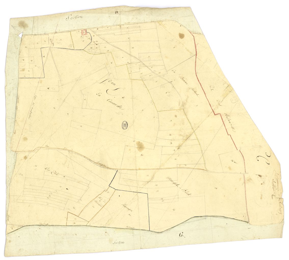 minute, section E