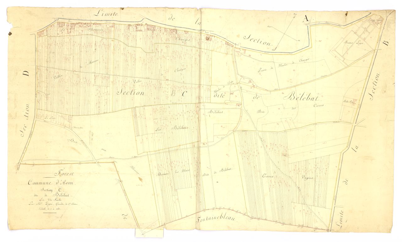 minute, section C