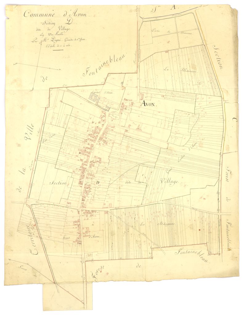minute, section D