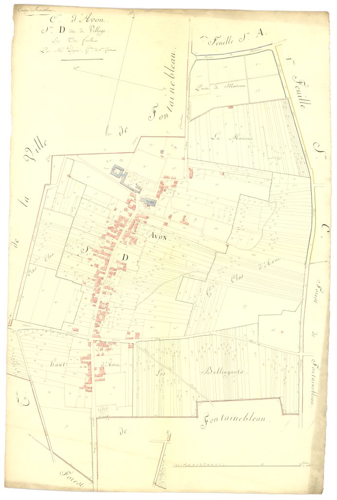 copie, section D