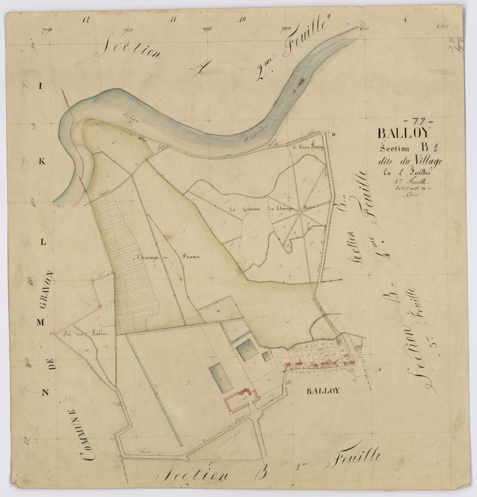 Section B1