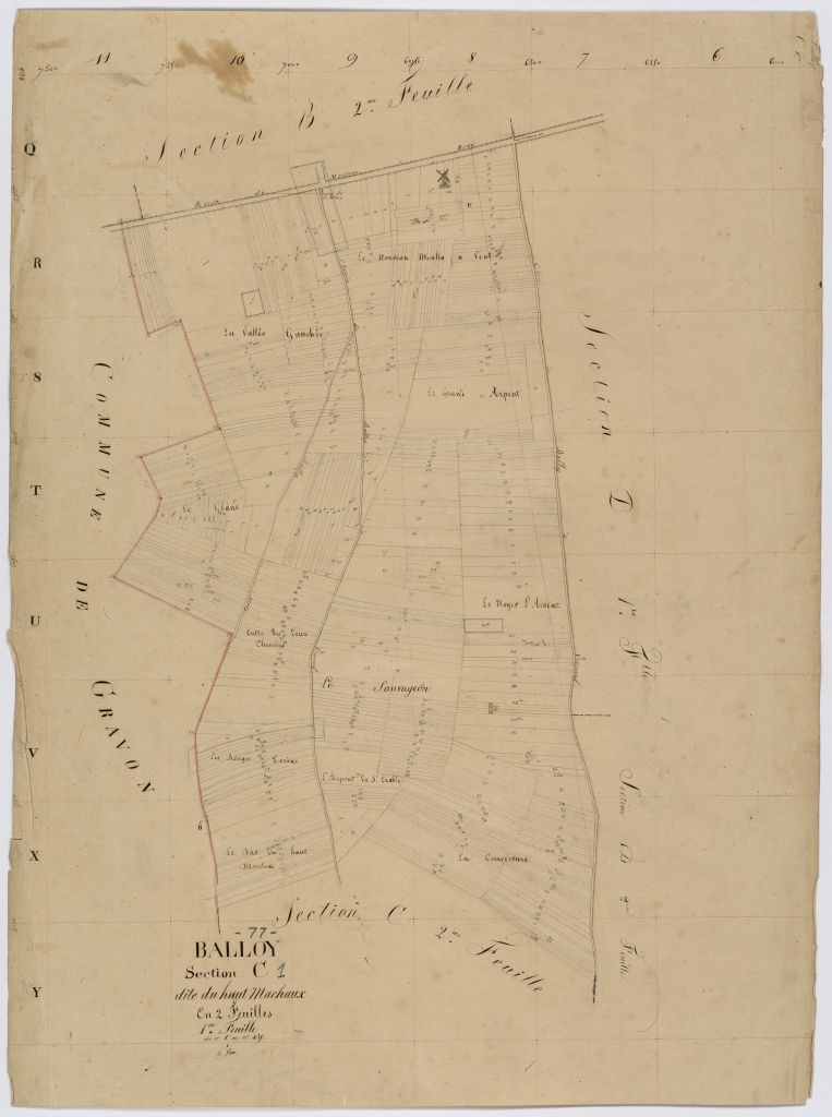 Section C1