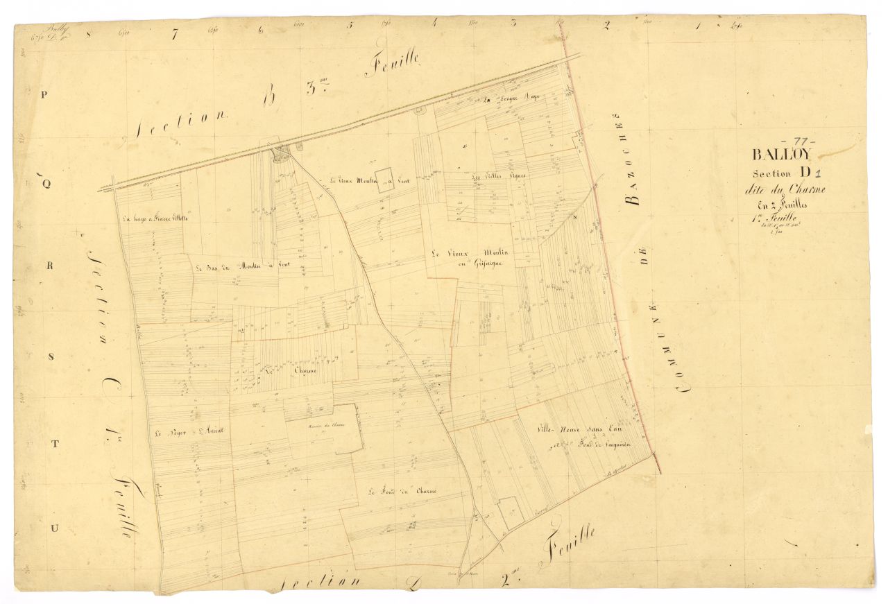 Section D1