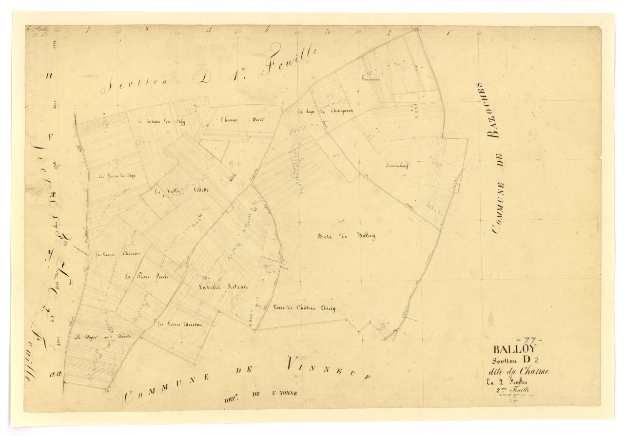 Section D2