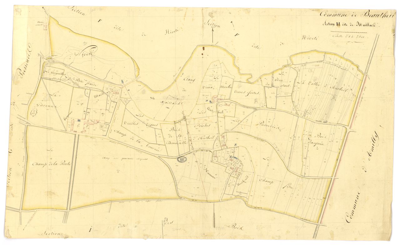 minute, section H
